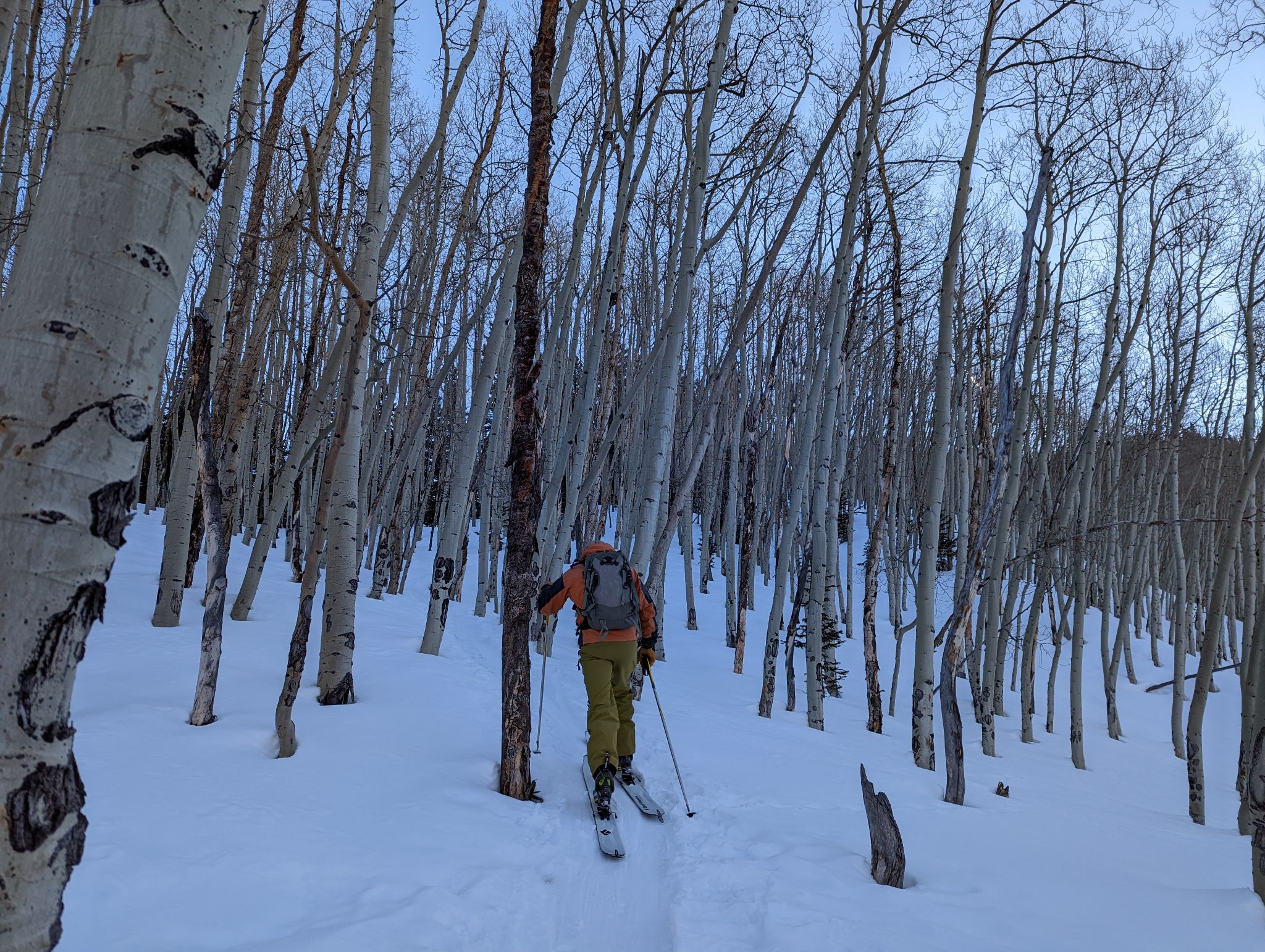 Grand traverse ski 02