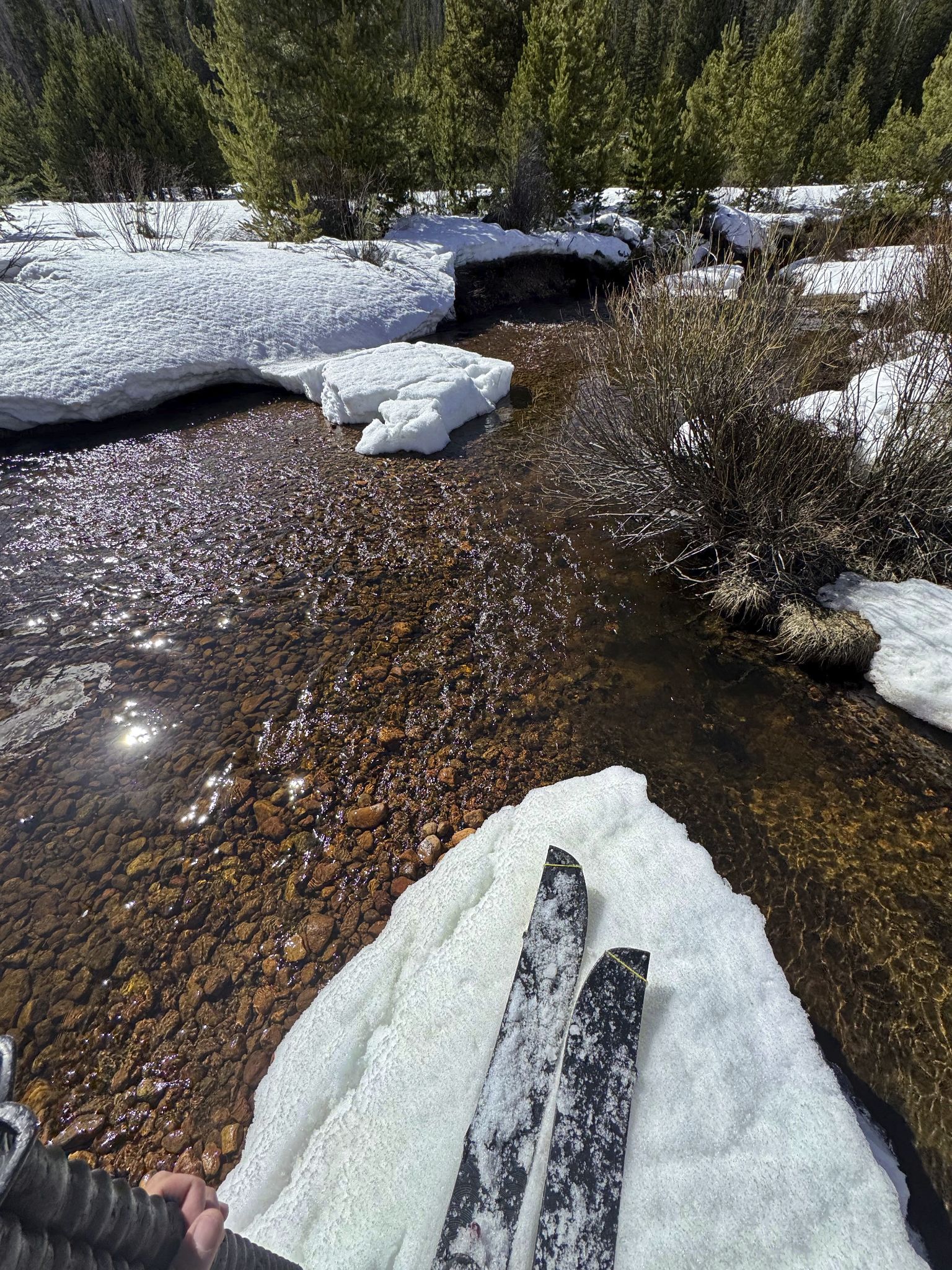 Snow hail ski 39