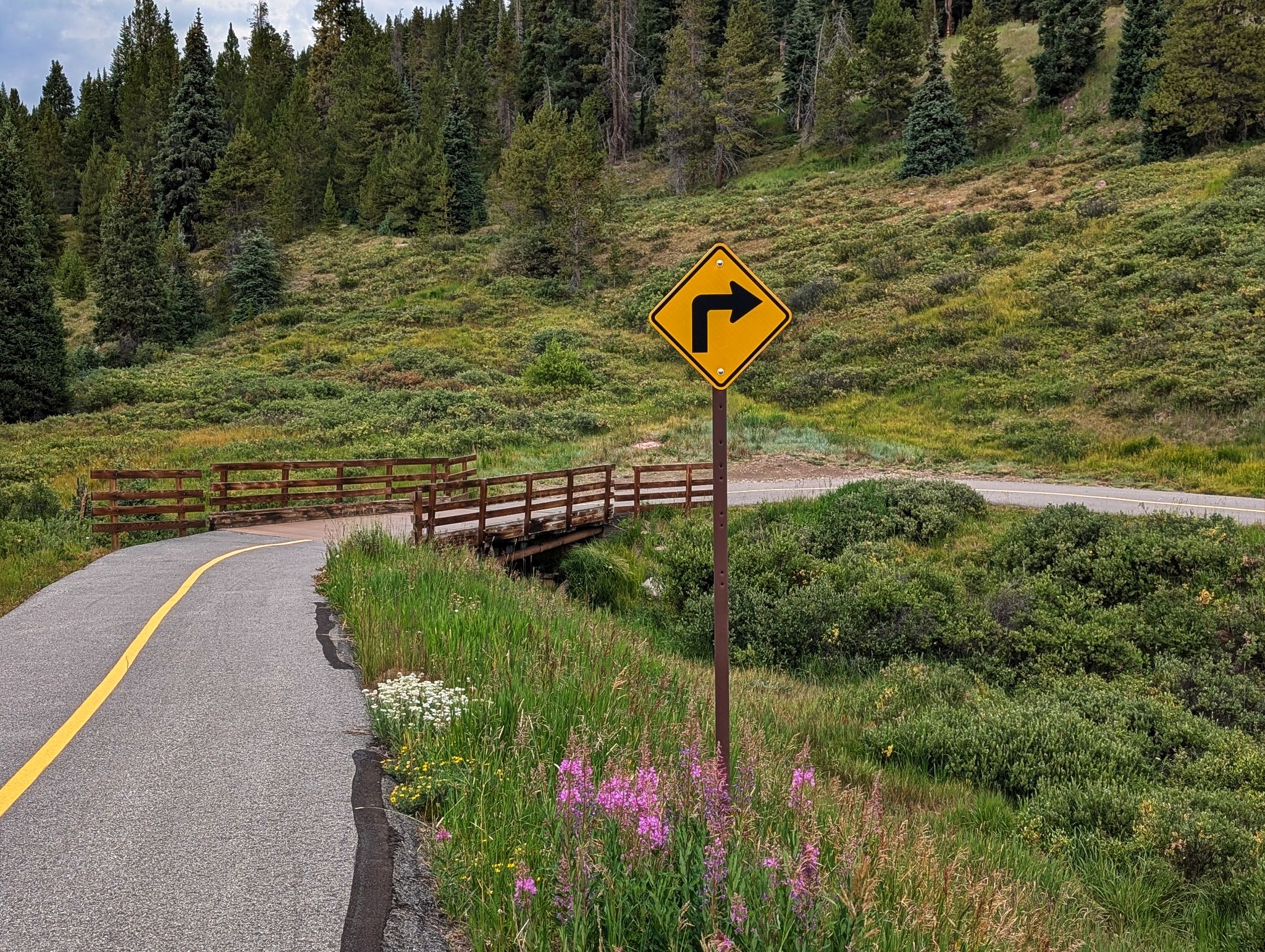 Deming traverse 37