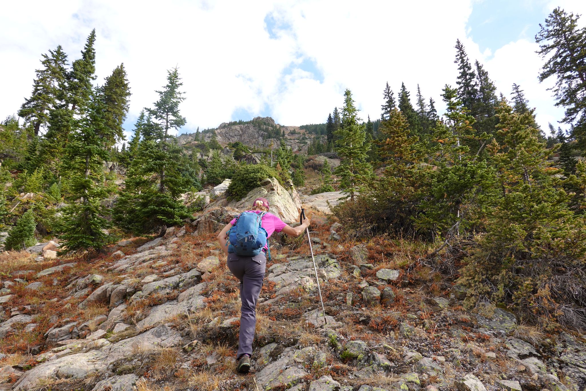 East partner 04