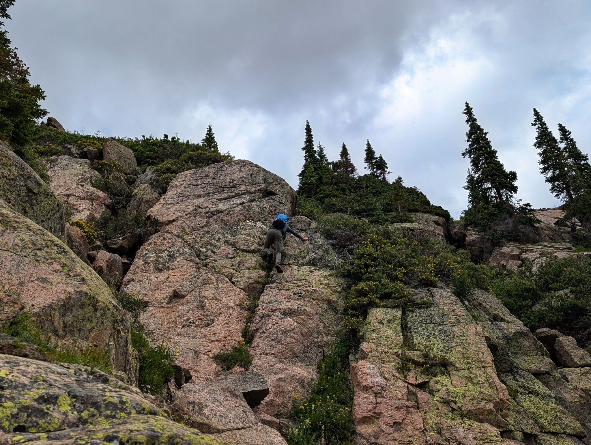 Partner traverse 49