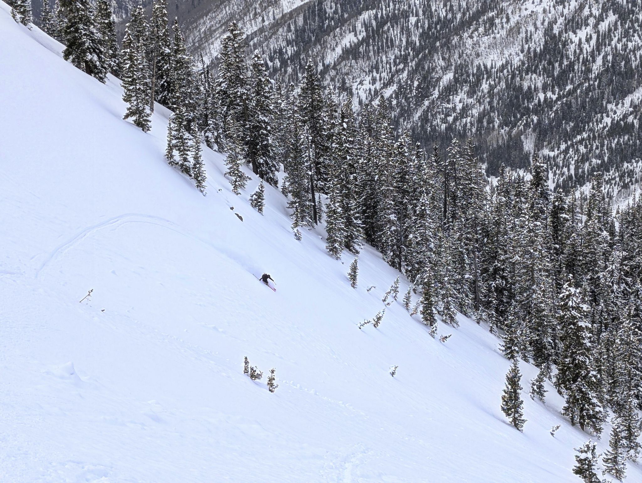 Skiers point 16