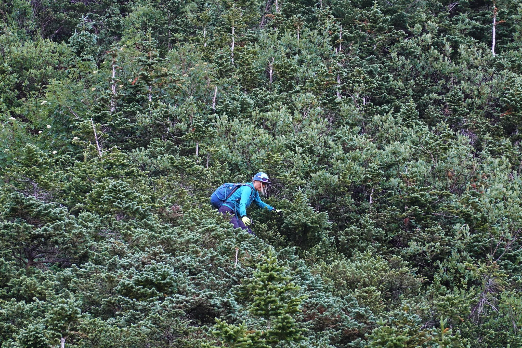 Solitude 40