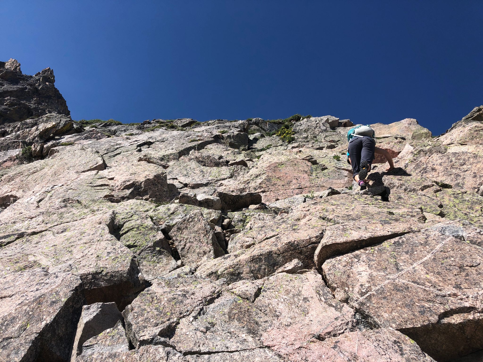 Silverthorne 11