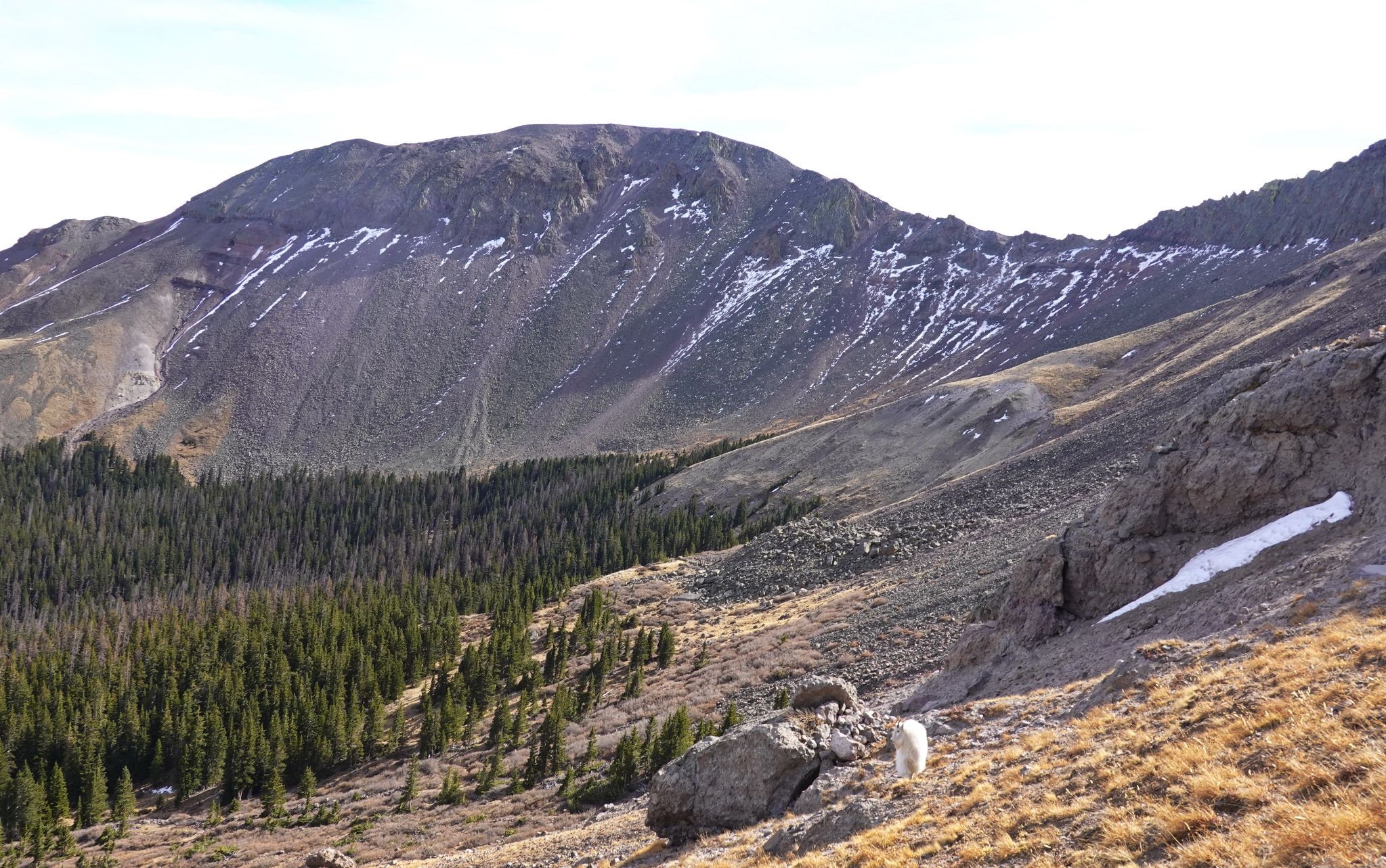Buffalo peaks 11