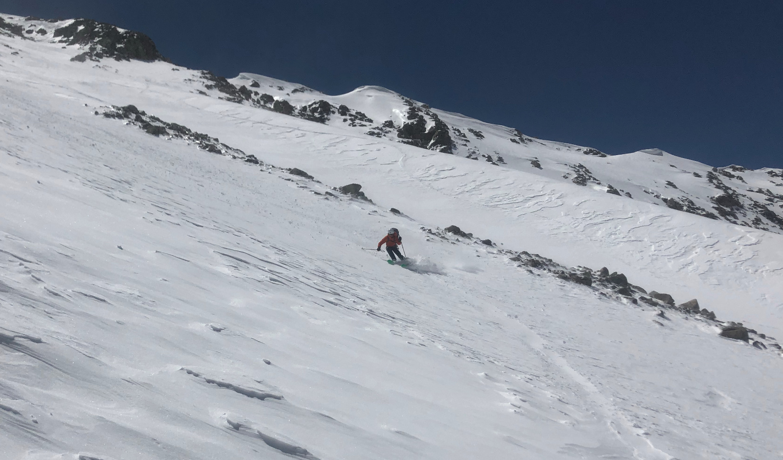 Democrat north face 13