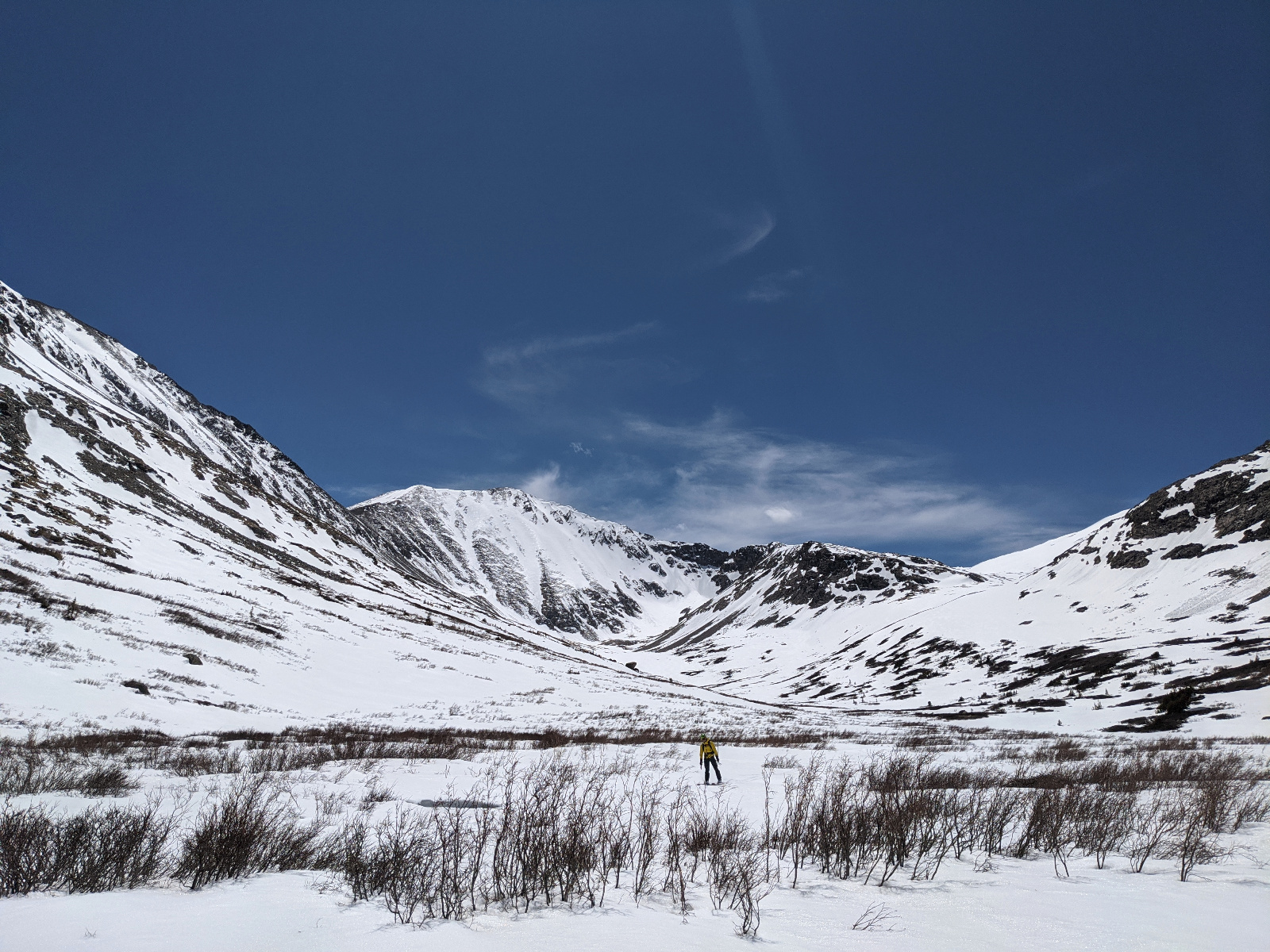 Democrat north face 18