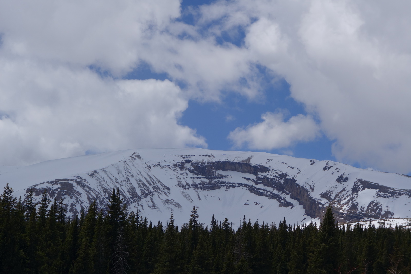 Horseshoe 32
