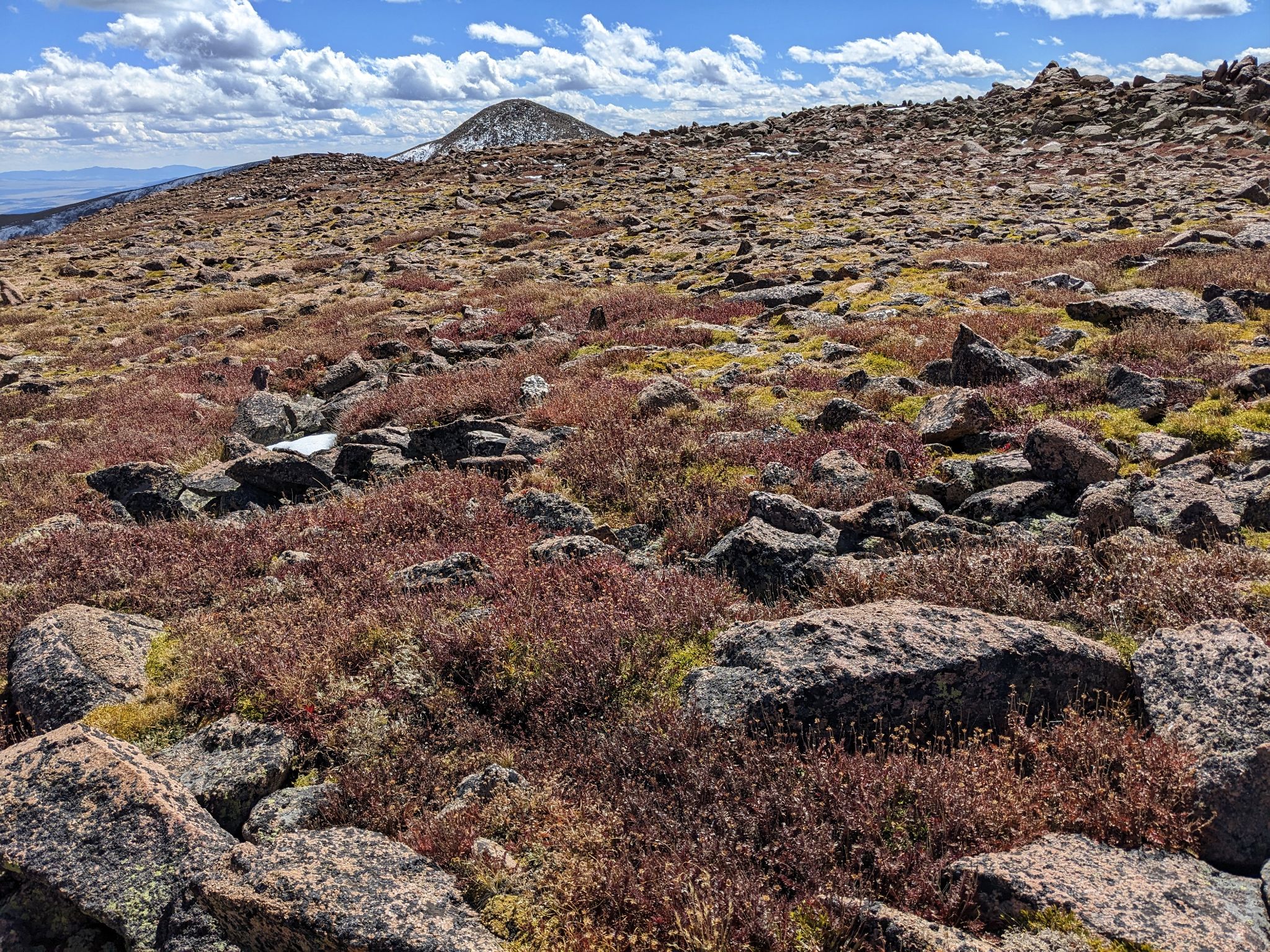 Weston pass 18