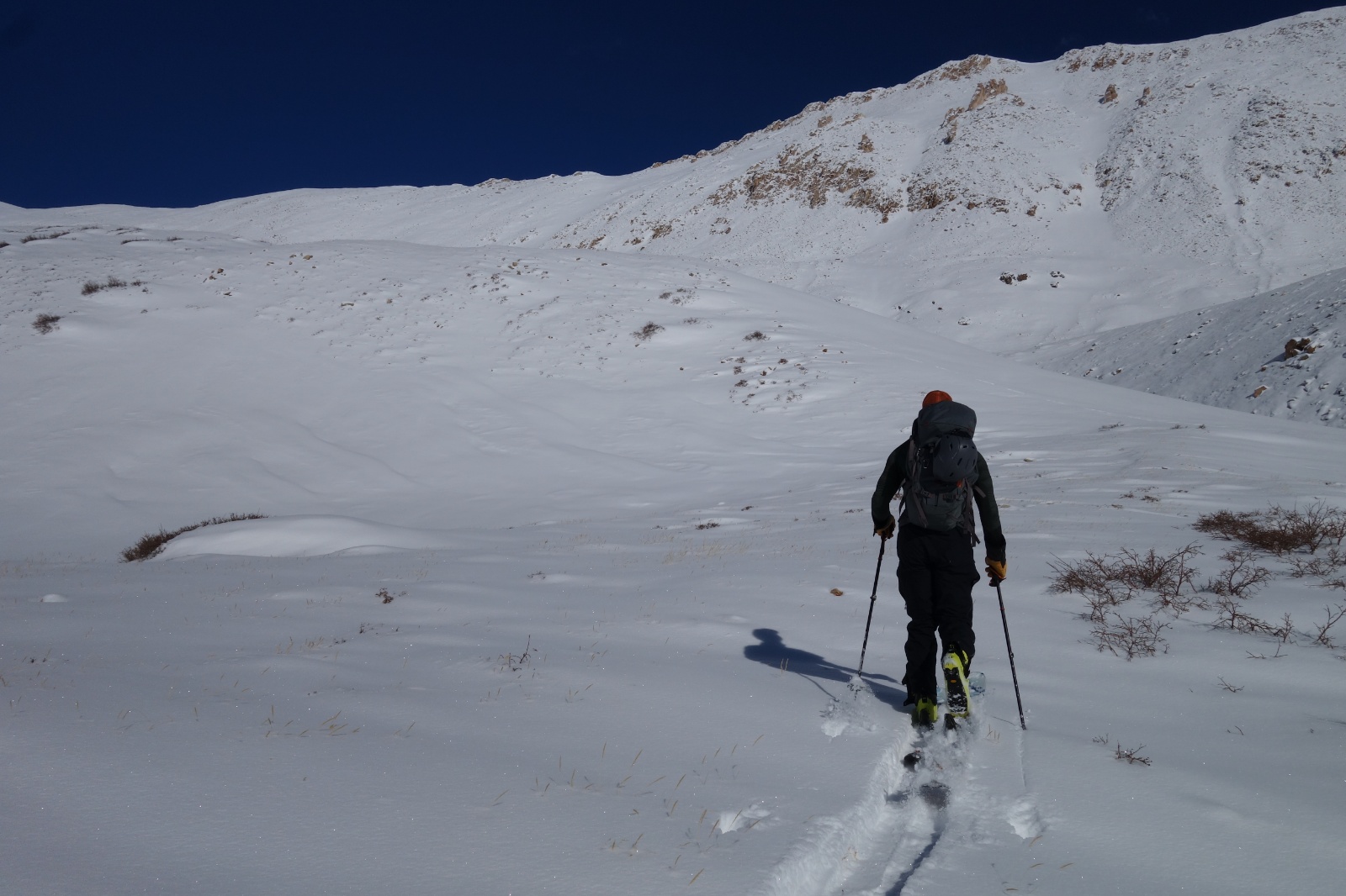 Sherman ski 04