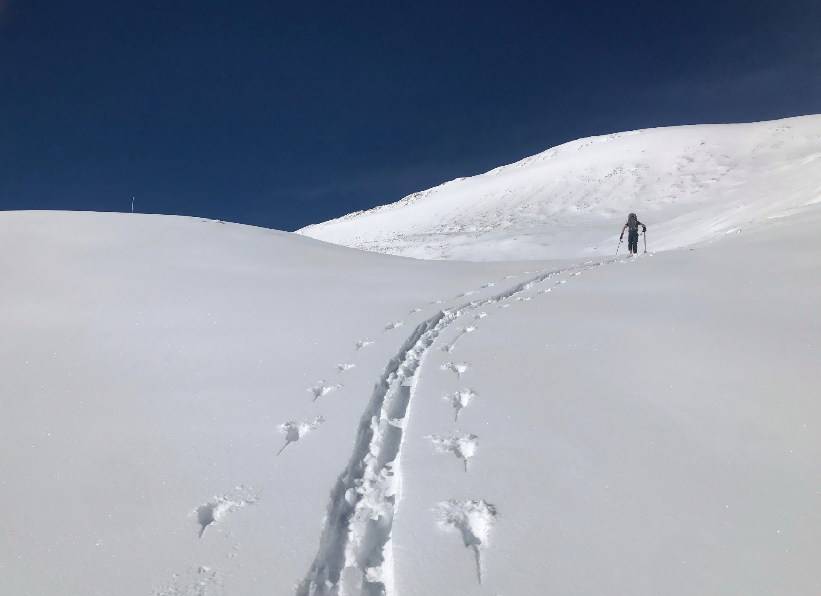 Sherman ski 08
