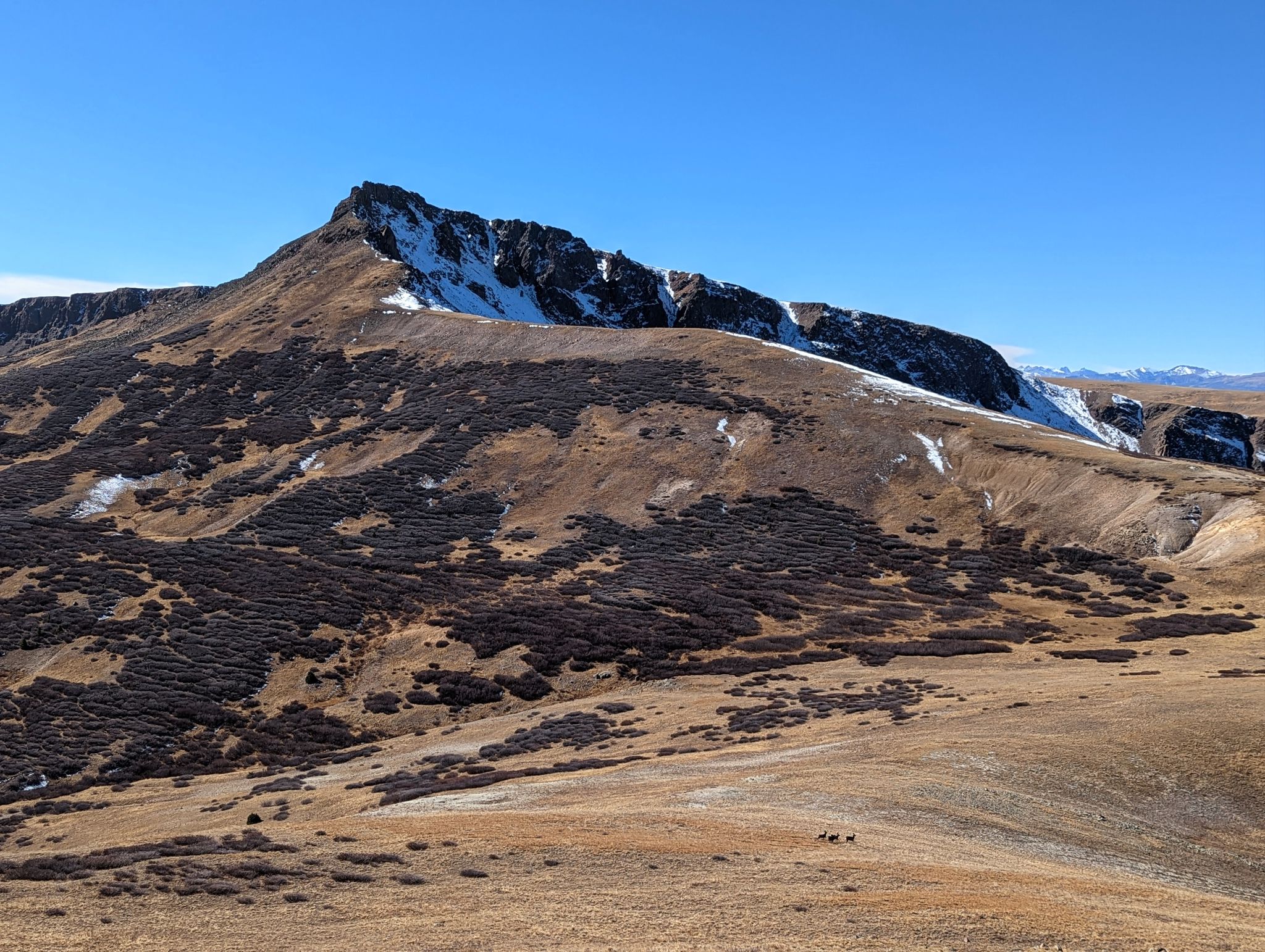 Baldy lejos 03