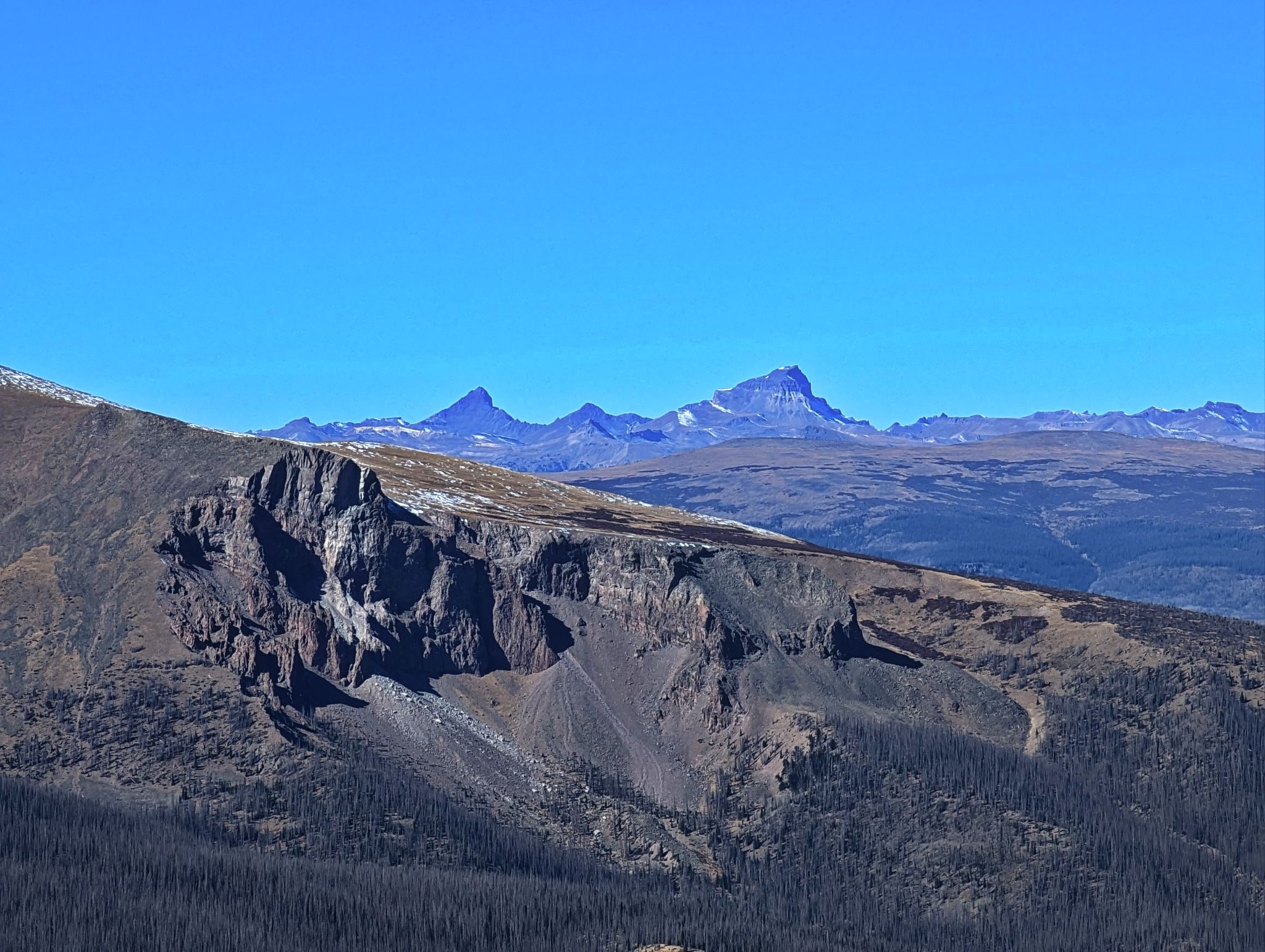 Baldy lejos 14