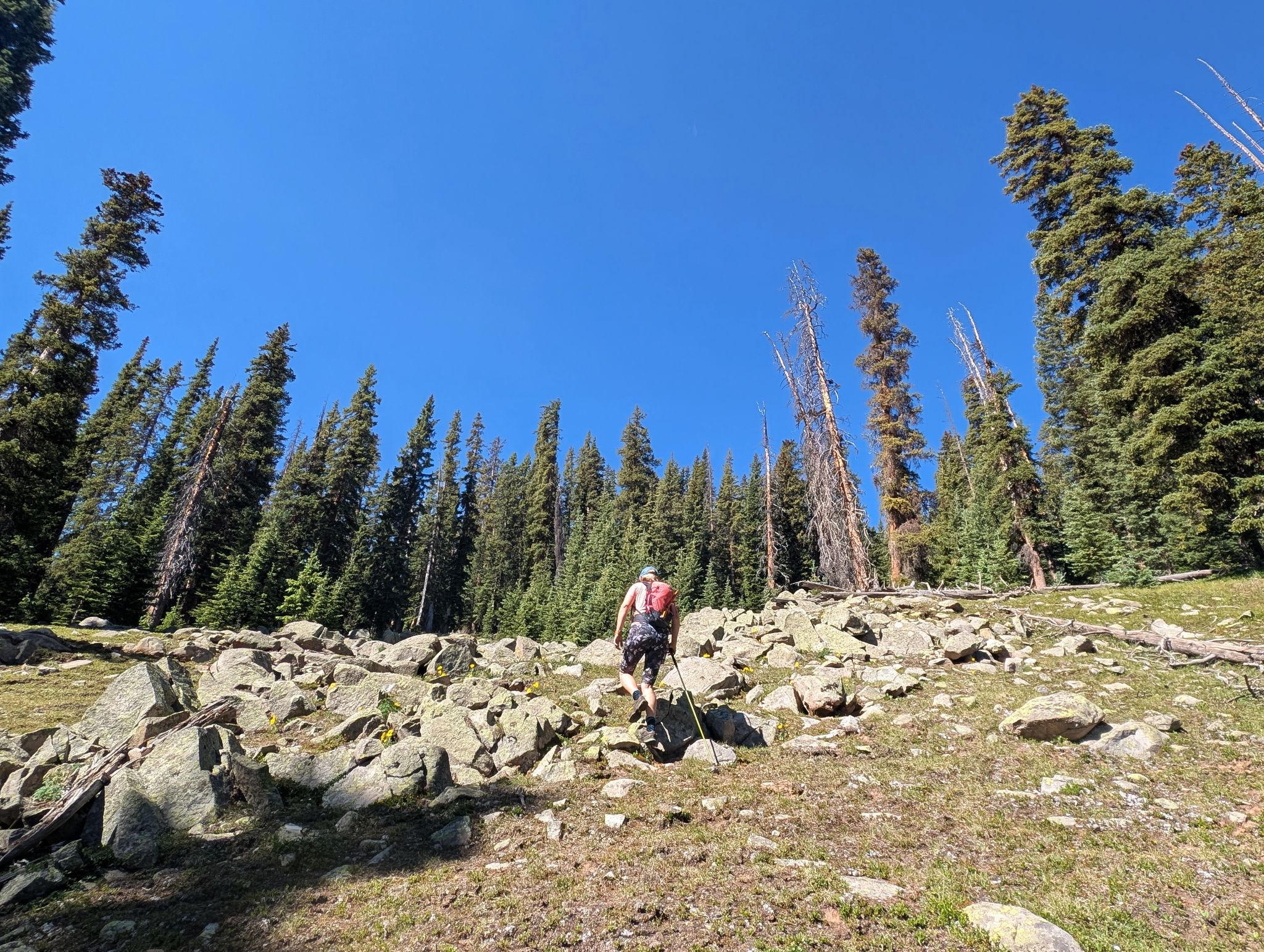 Bear mountain 03