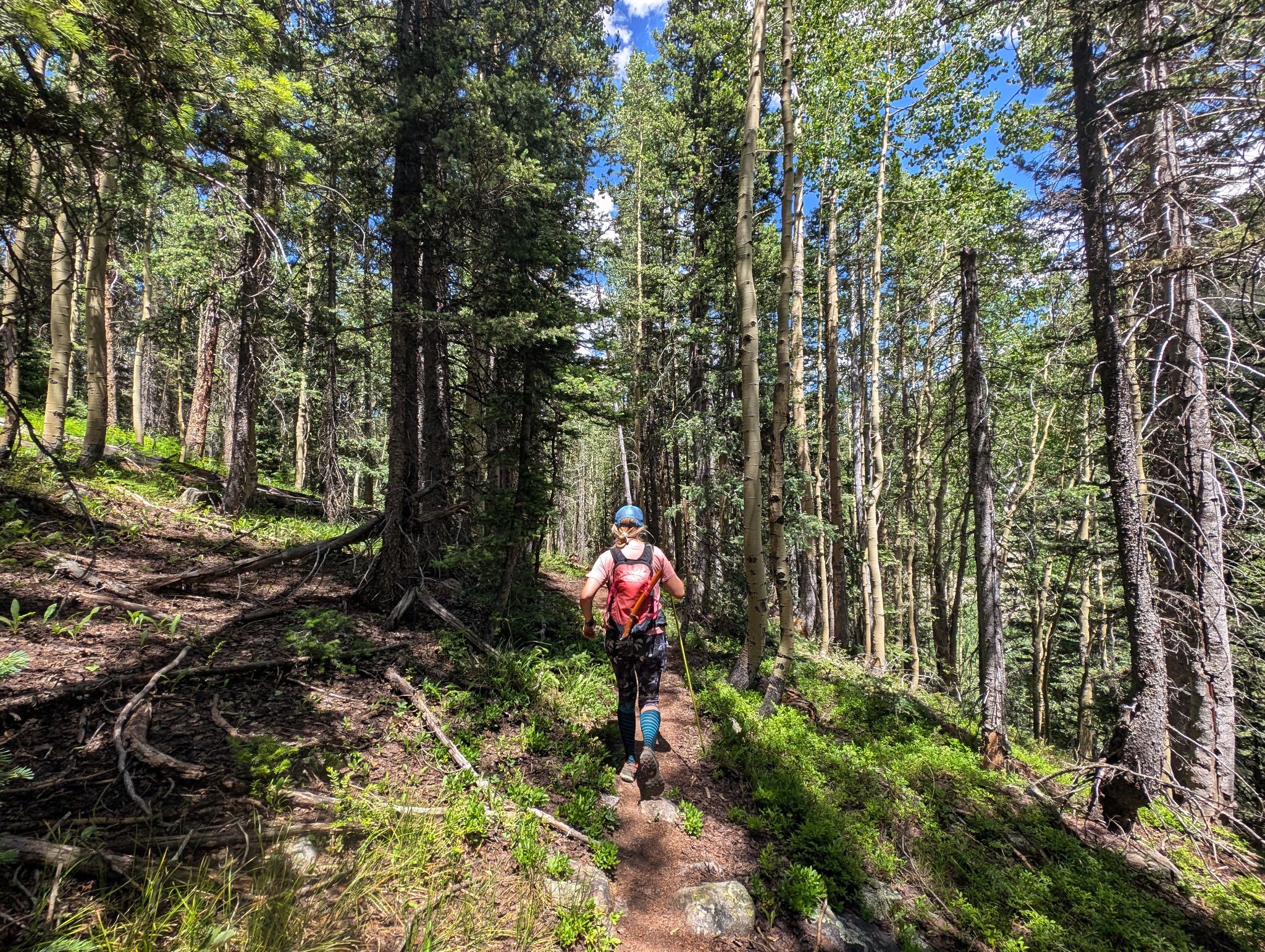 Bear mountain 31