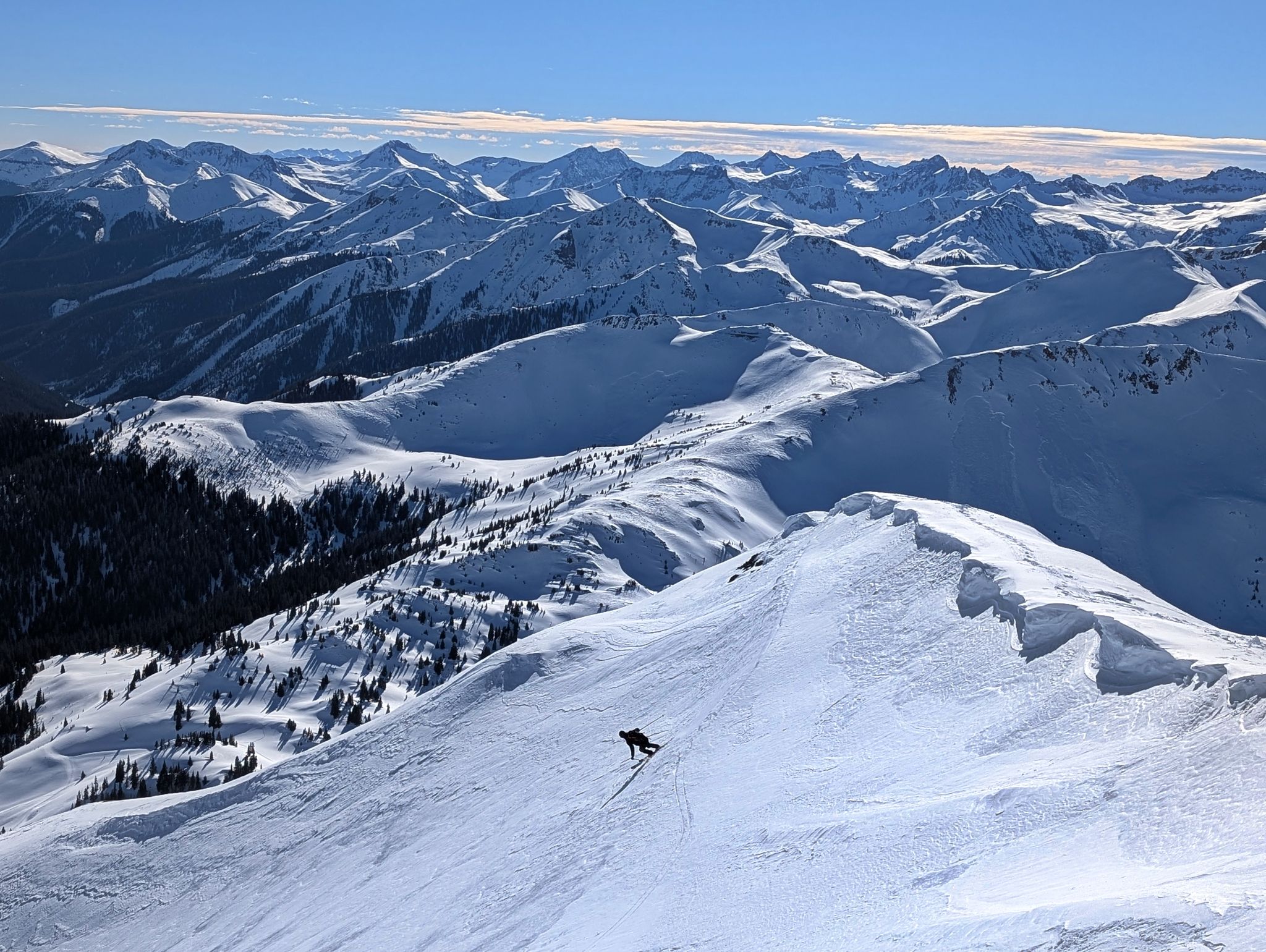Brown - Ski