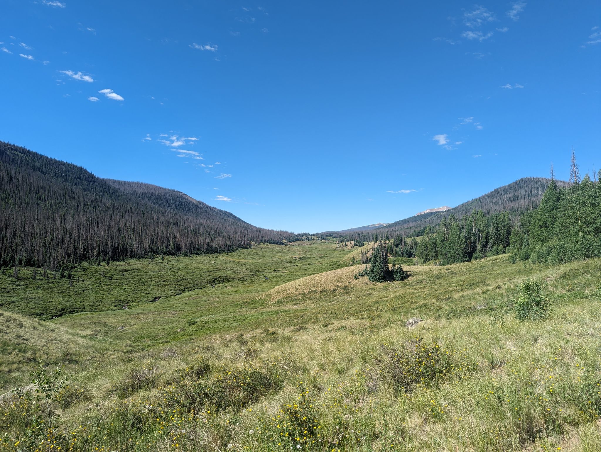 Chief mountain 02