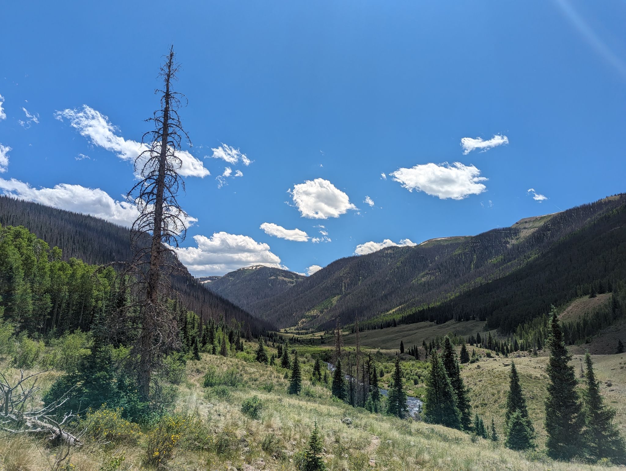 Chief mountain 03
