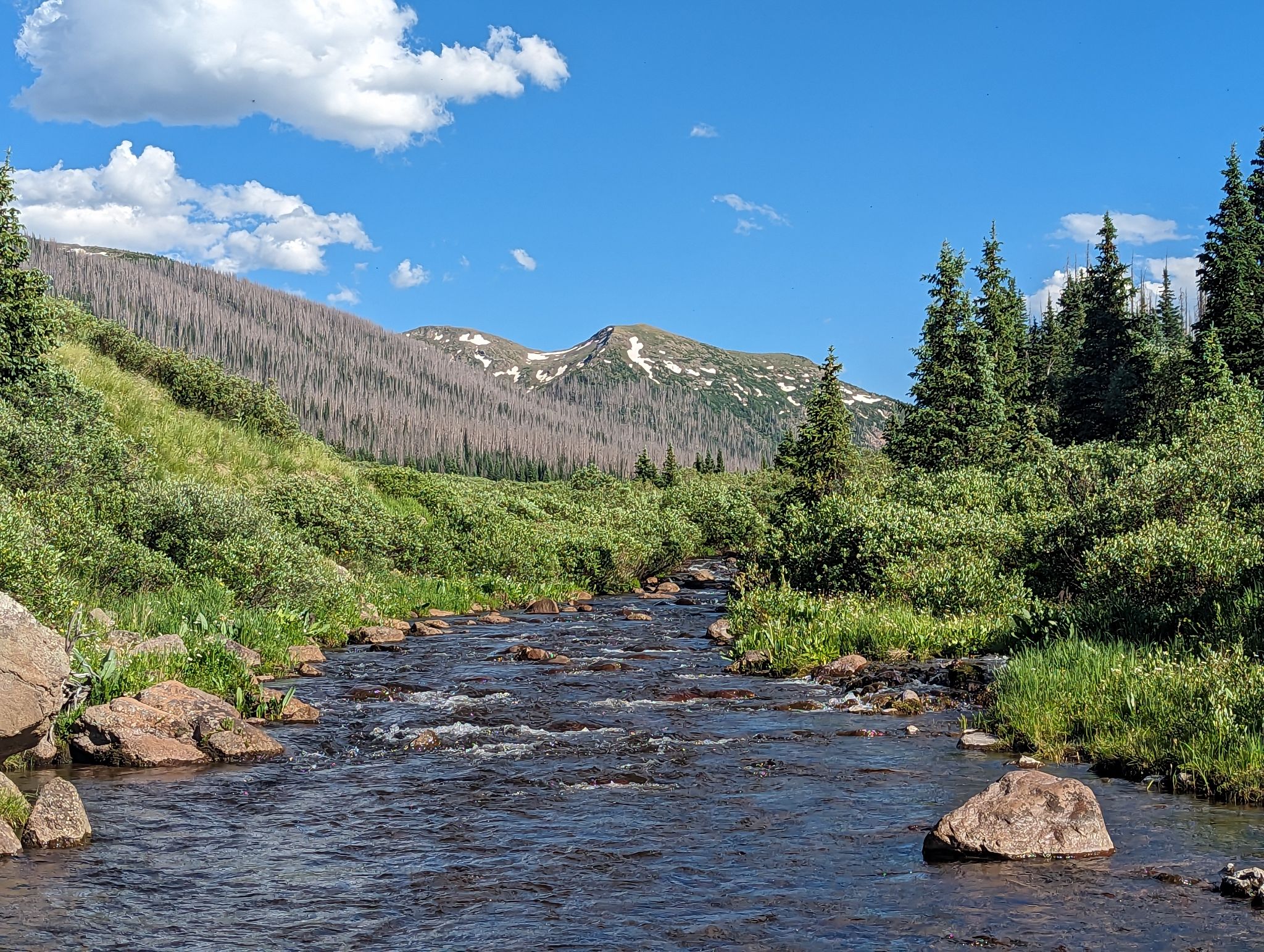 Chief mountain 04