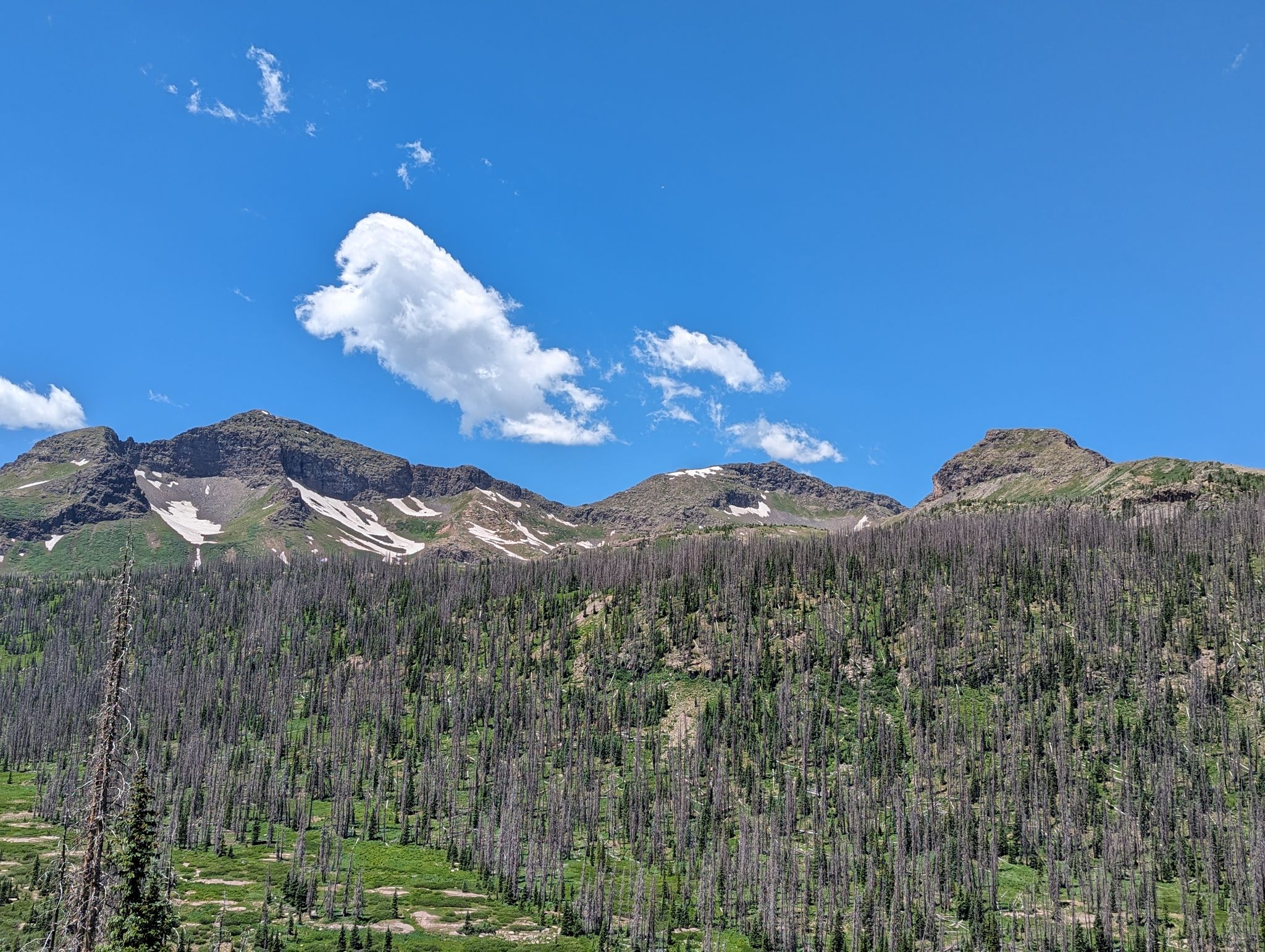 Chief mountain 05