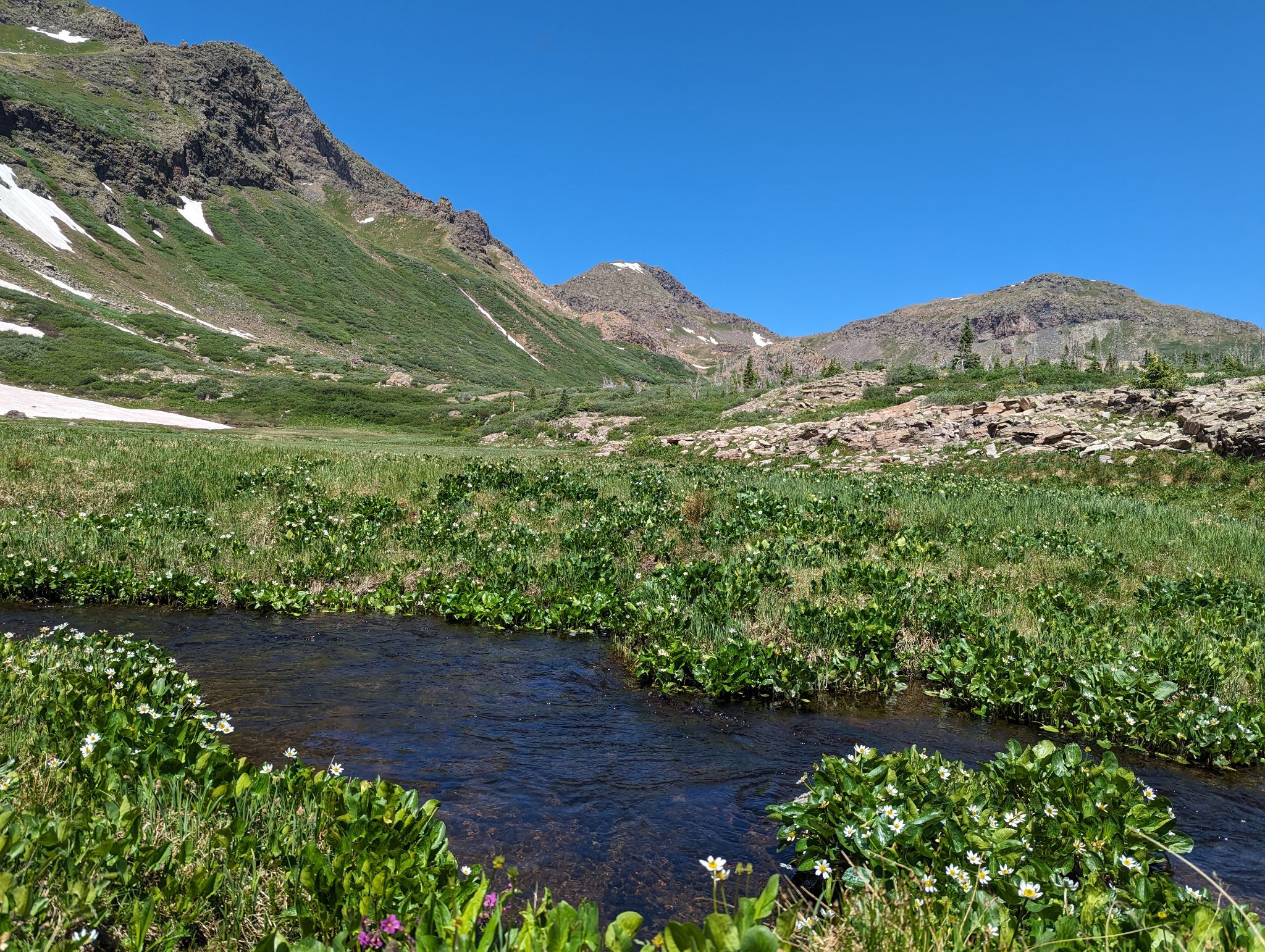 Chief mountain 08