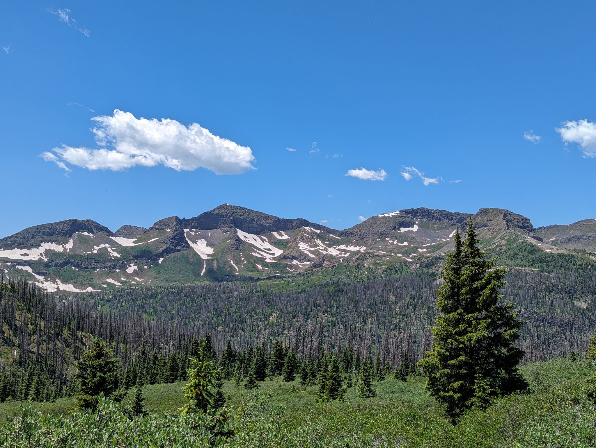 Chief mountain 17