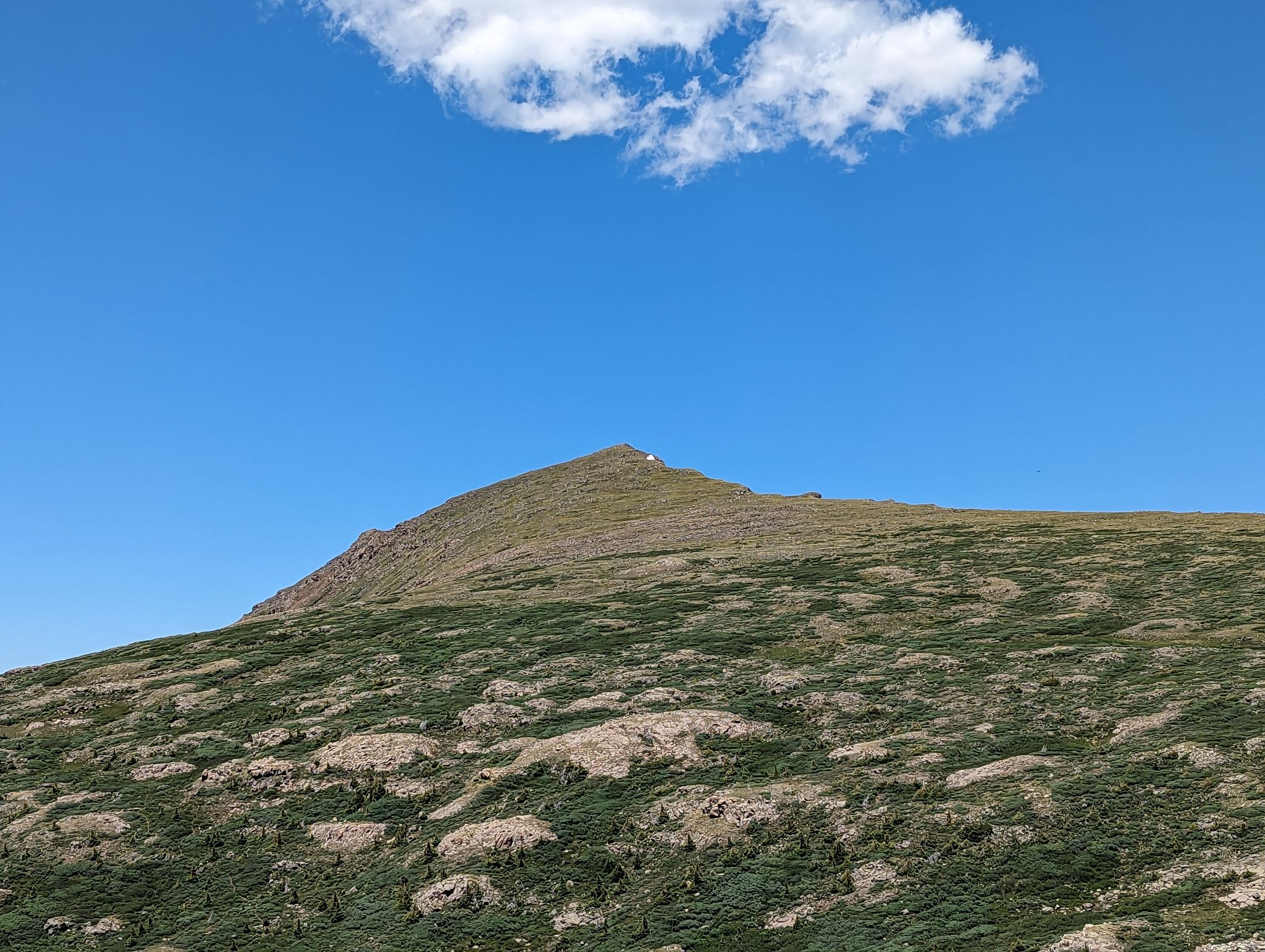 Chief mountain 18