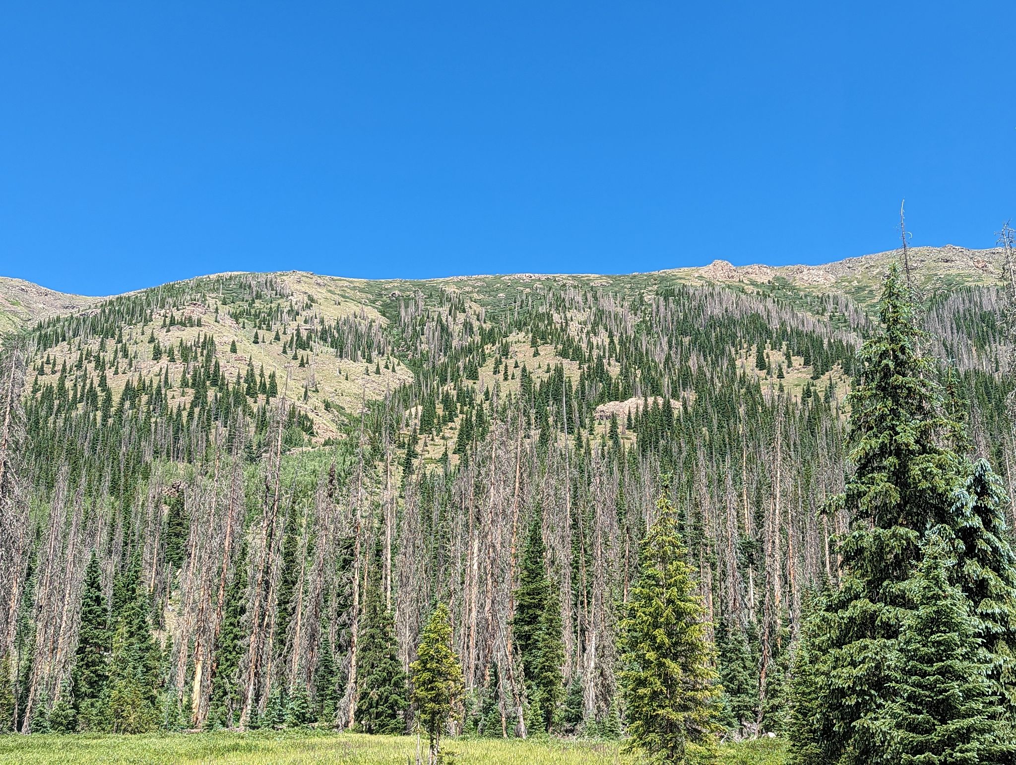 Chief mountain 23