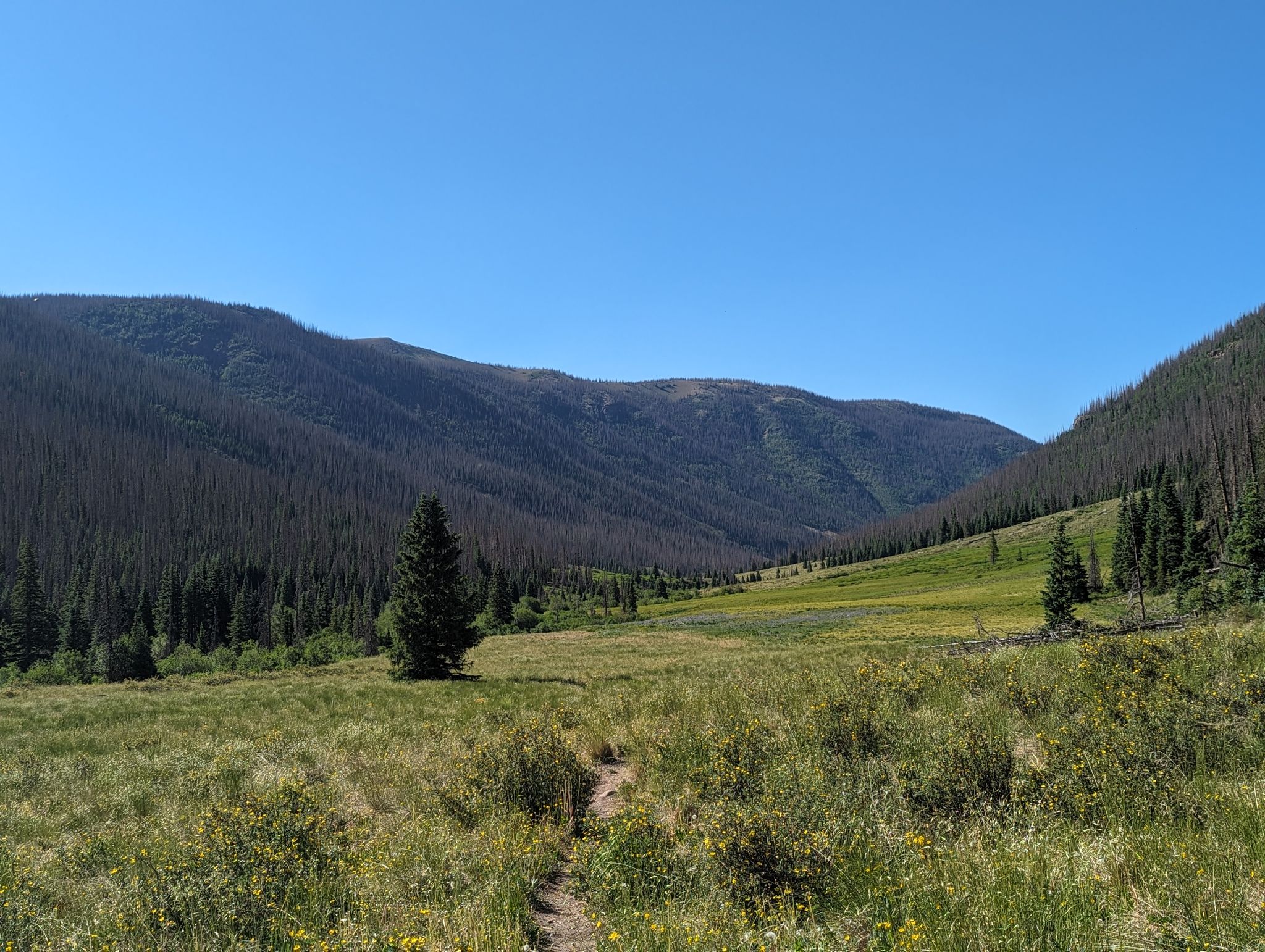 Chief mountain 24