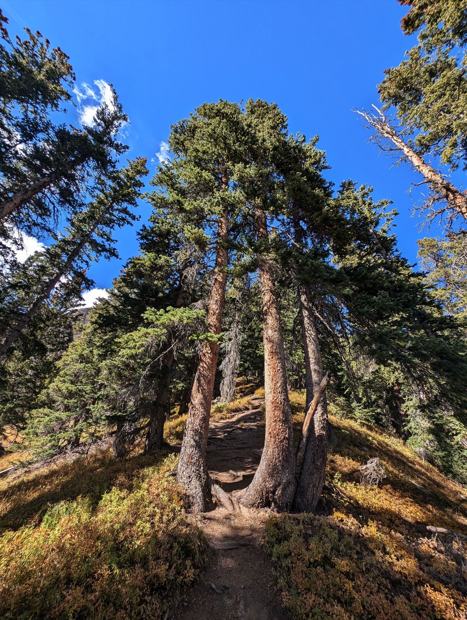 Courthouse mountain 05
