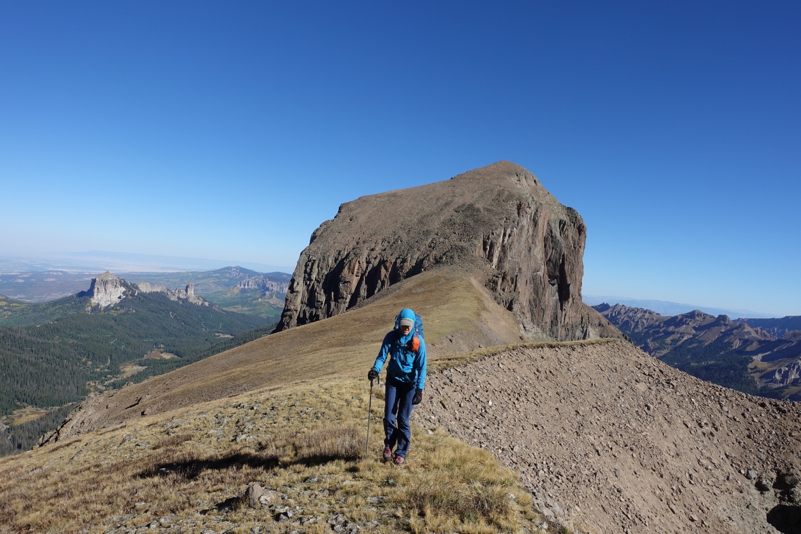 Coxcomb redcliff 04