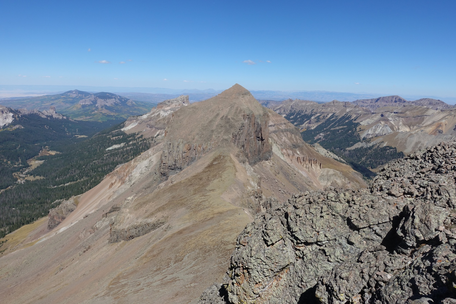 Coxcomb redcliff 10