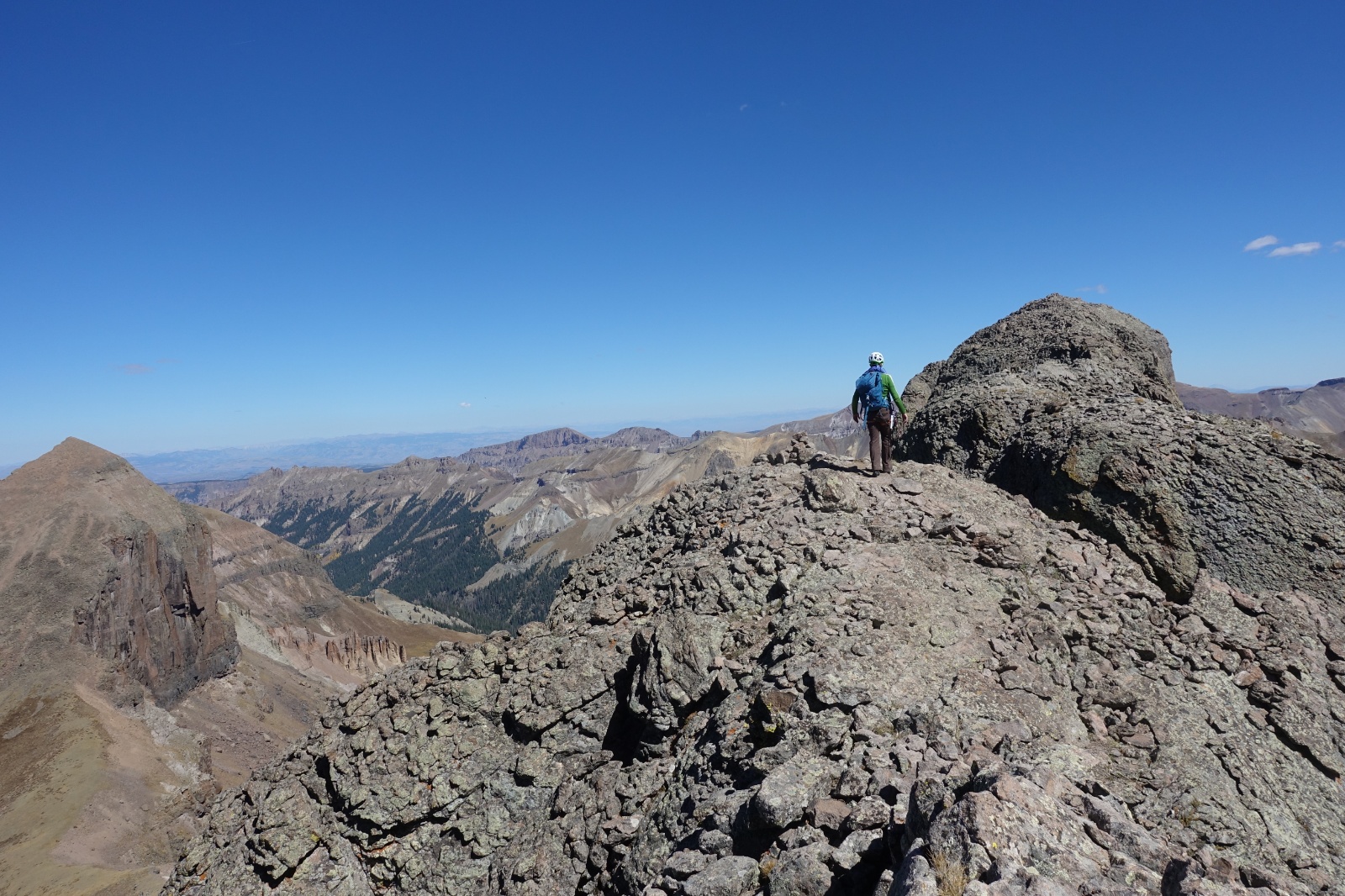 Coxcomb redcliff 11