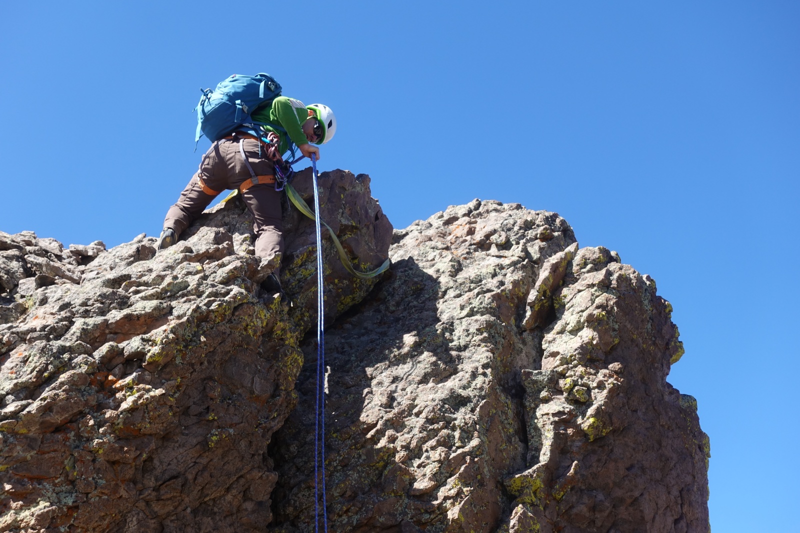 Coxcomb redcliff 12
