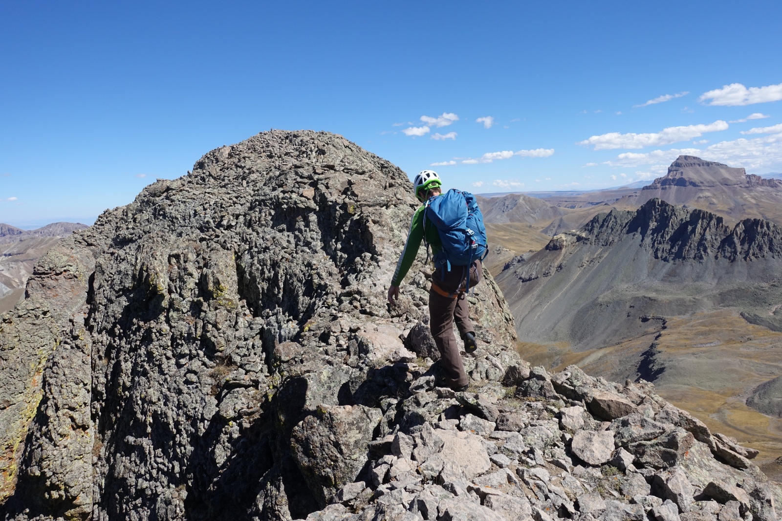 Coxcomb redcliff 14