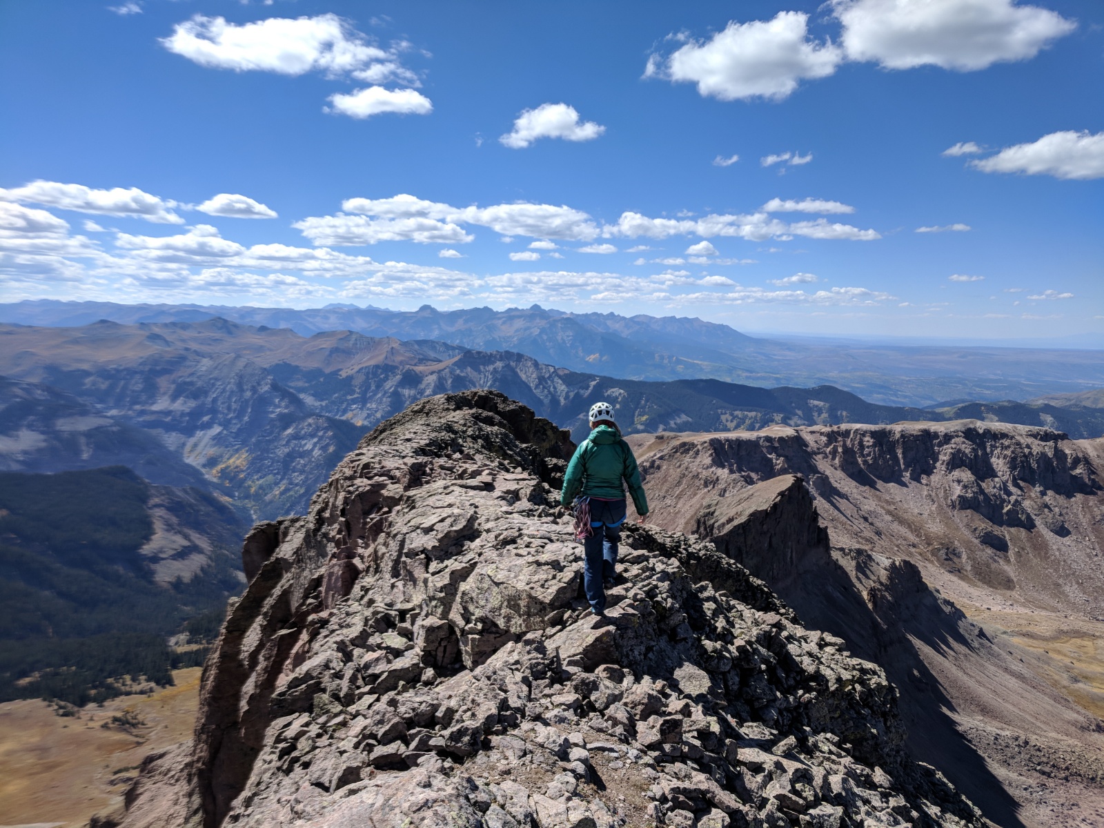 Coxcomb redcliff 16