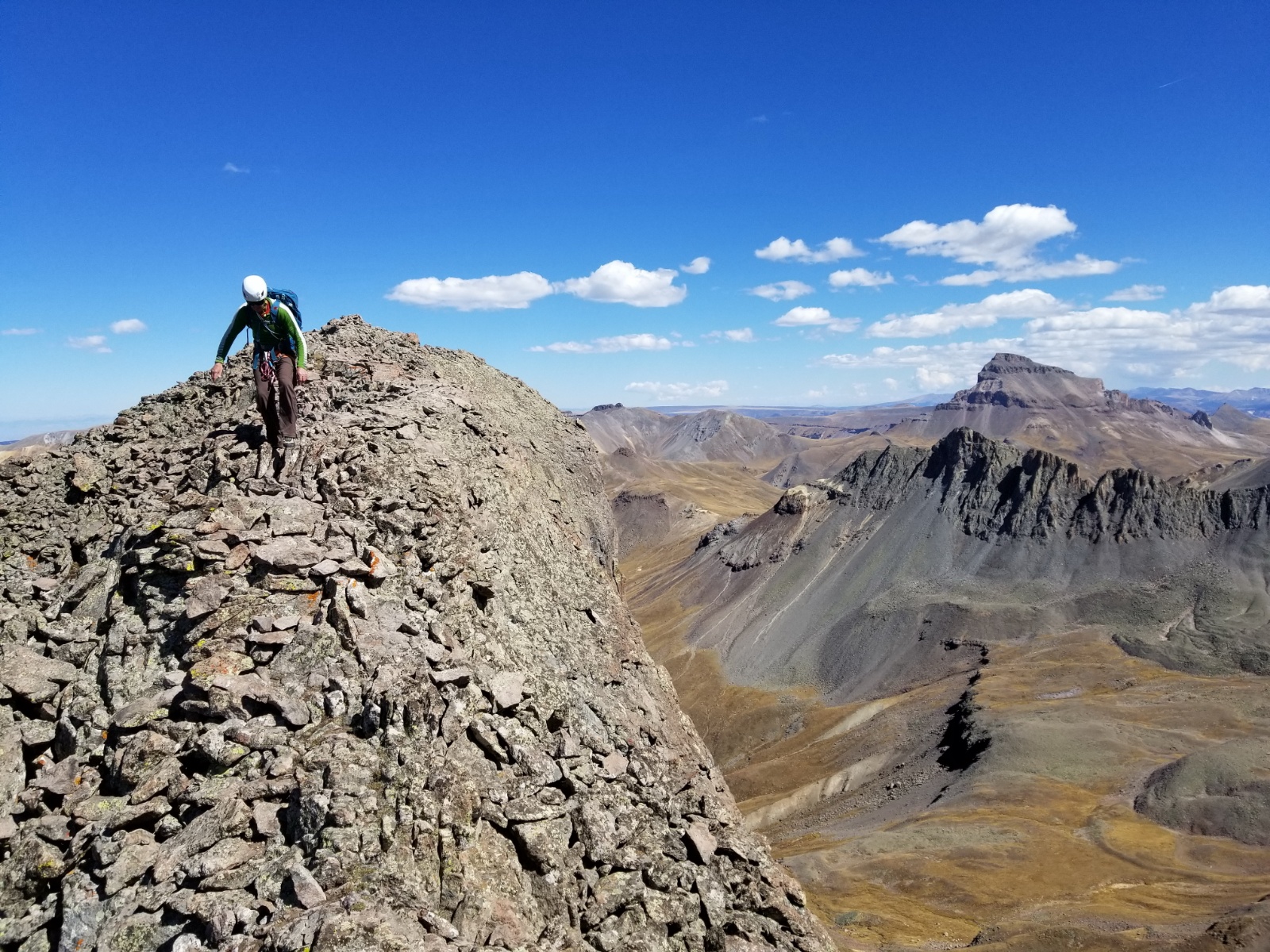 Coxcomb redcliff 17a