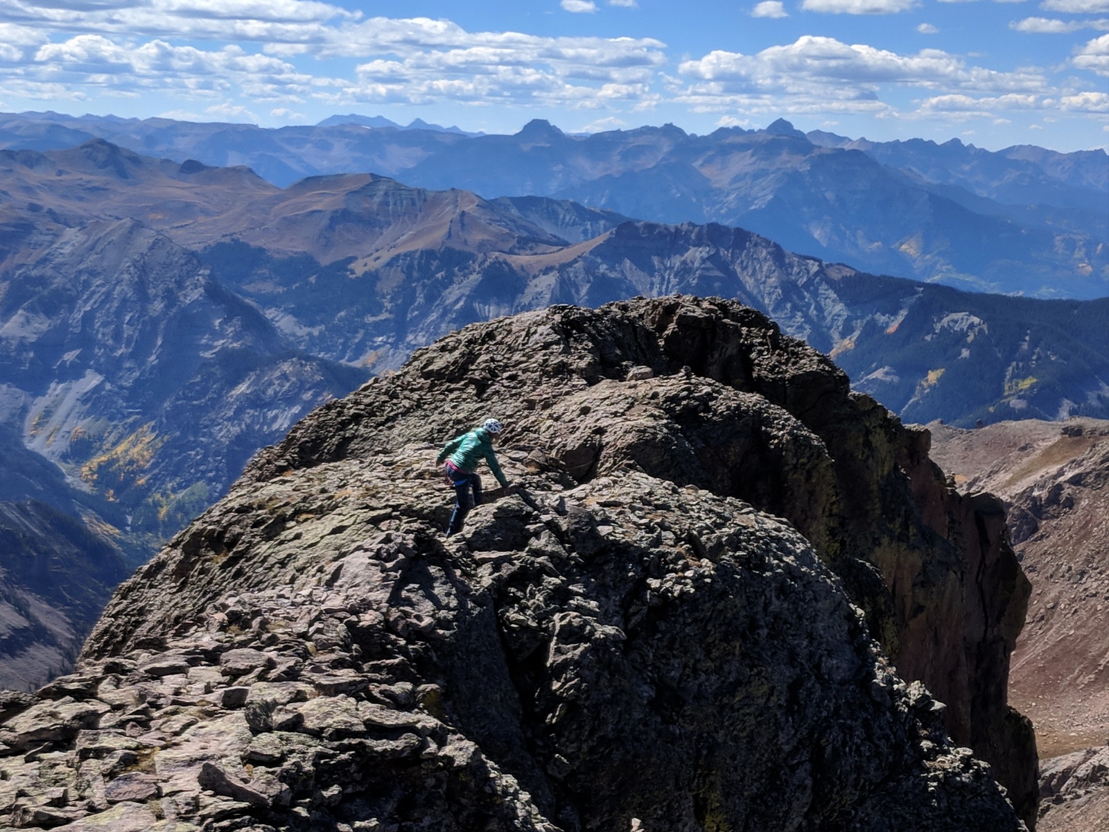 Coxcomb redcliff 18