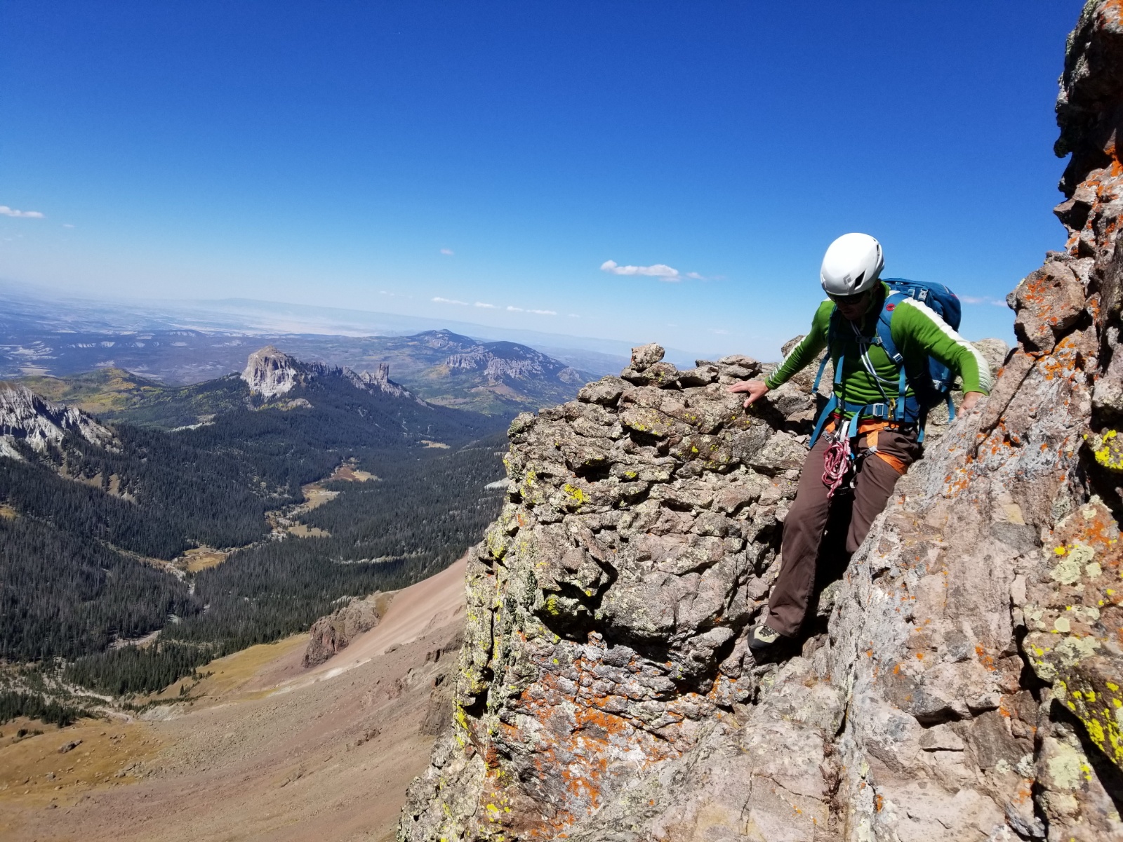 Coxcomb redcliff 20a