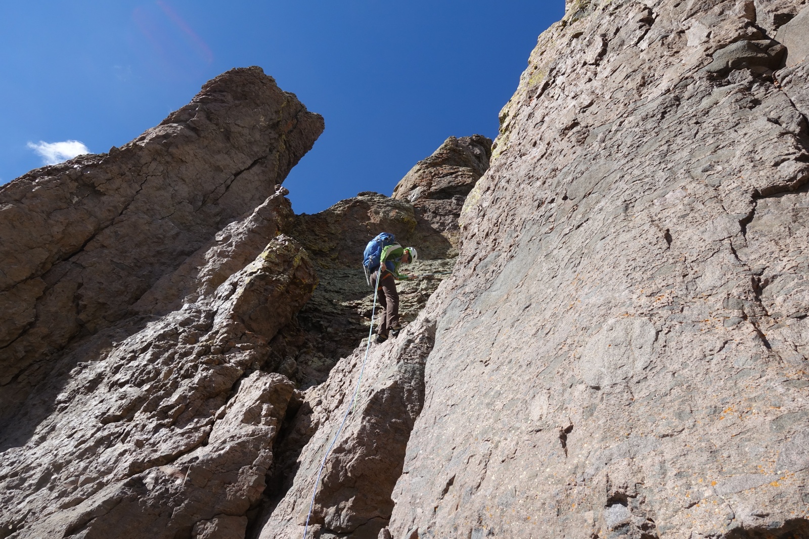 Coxcomb redcliff 21