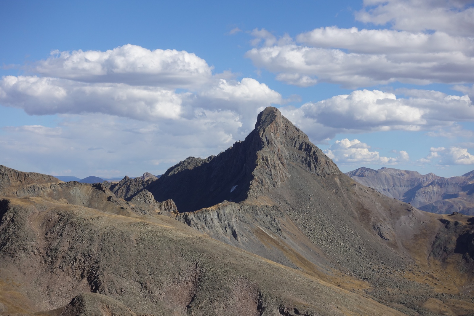 Coxcomb redcliff 22