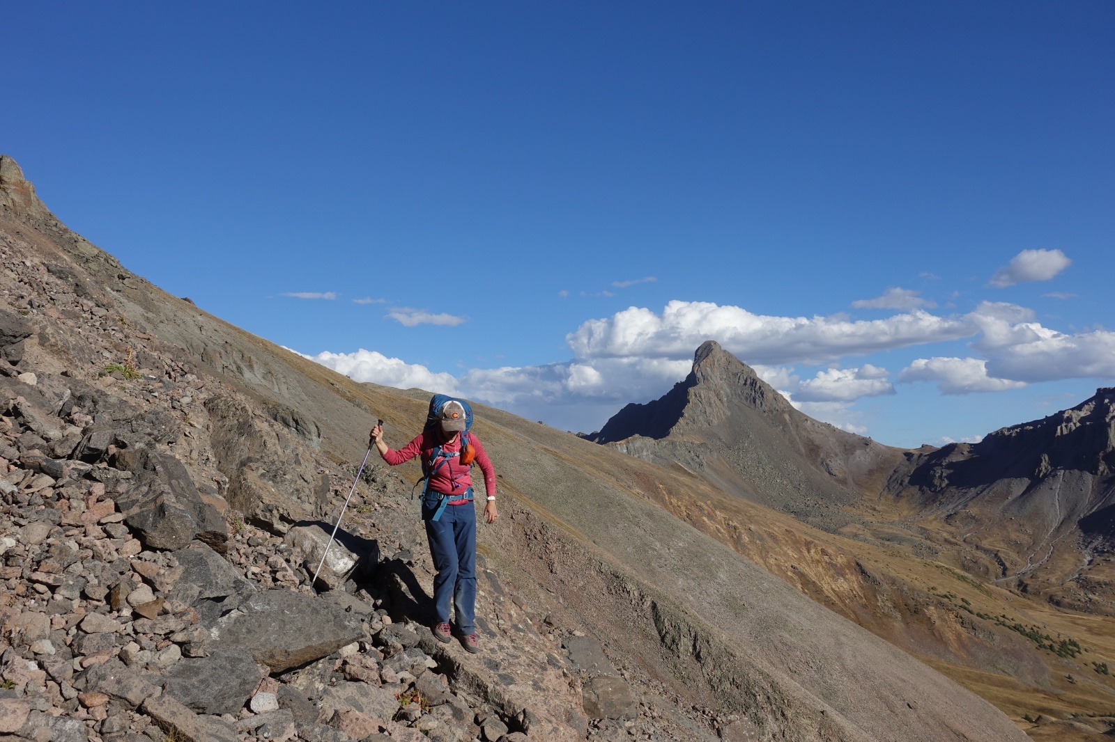 Coxcomb redcliff 23