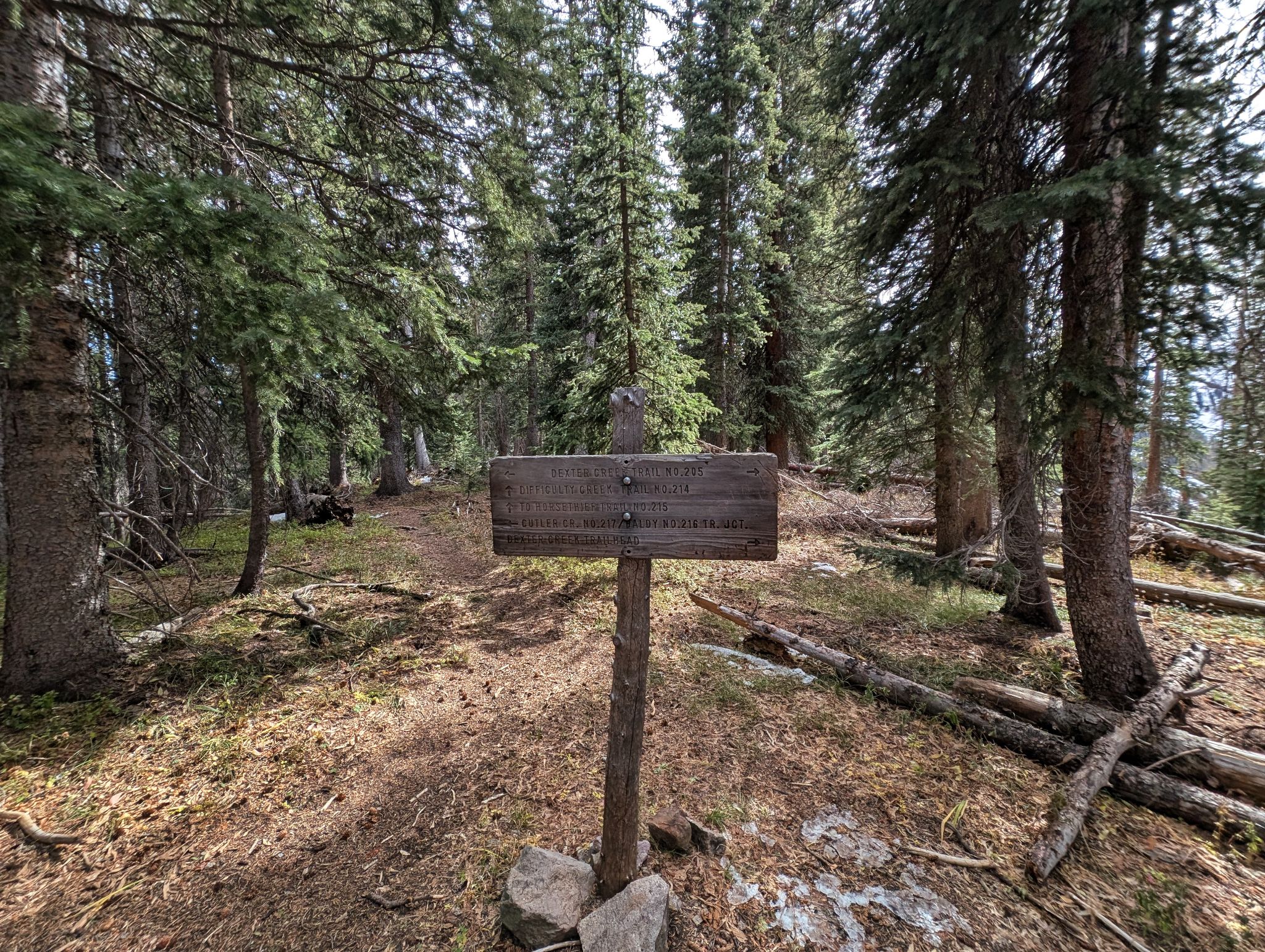 Dexter mountain 05