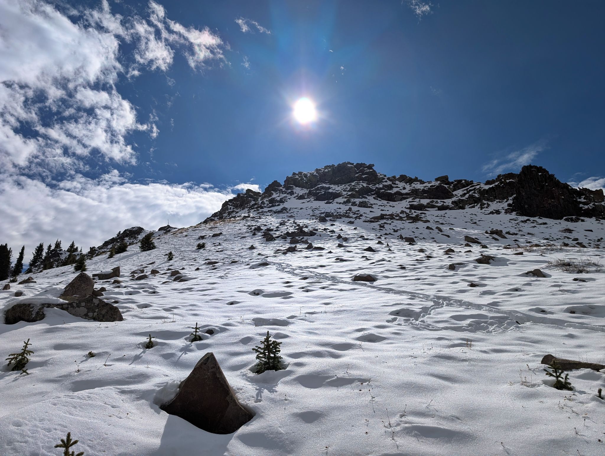 Dexter mountain 08