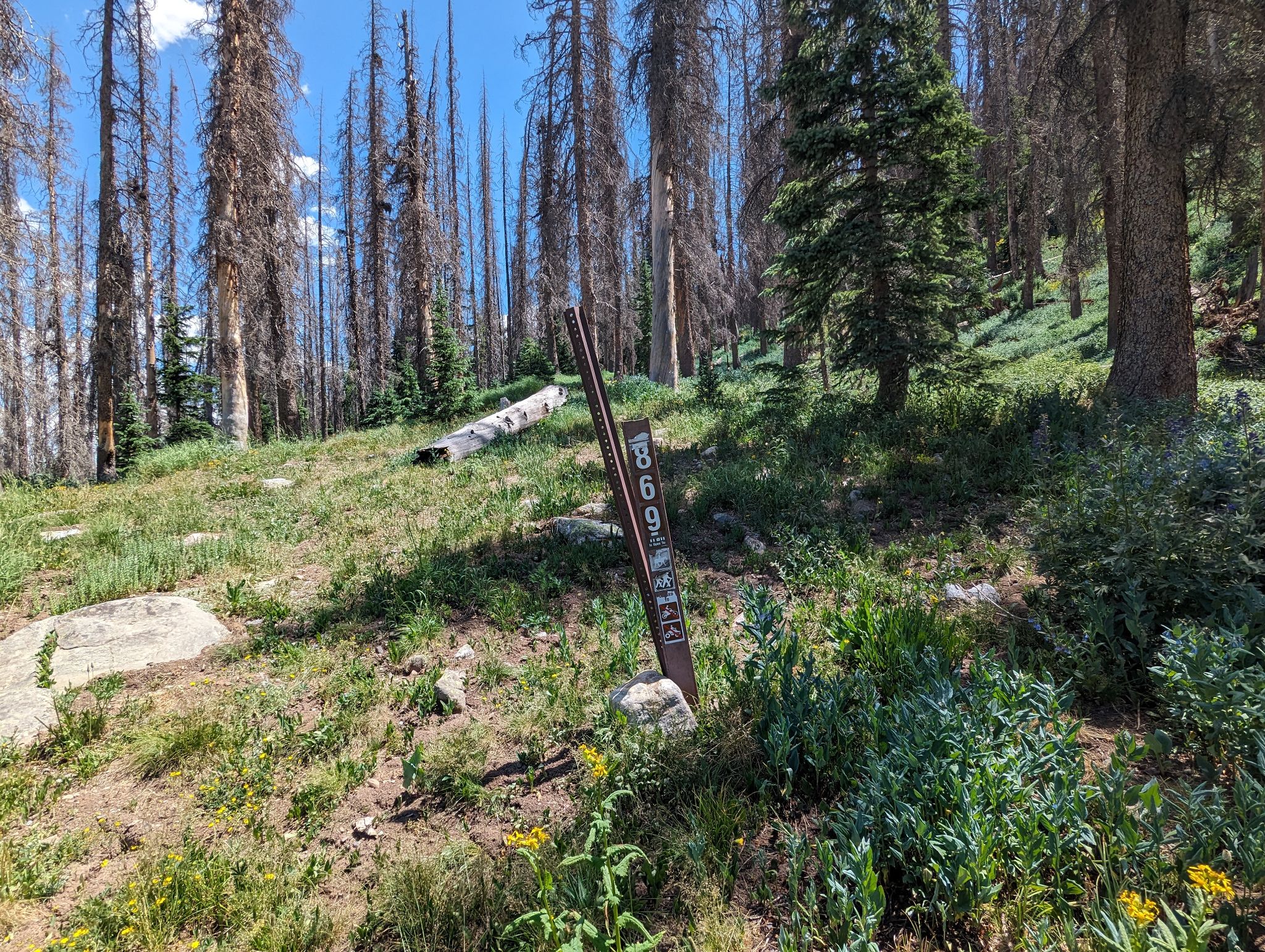 Ute ridge 02
