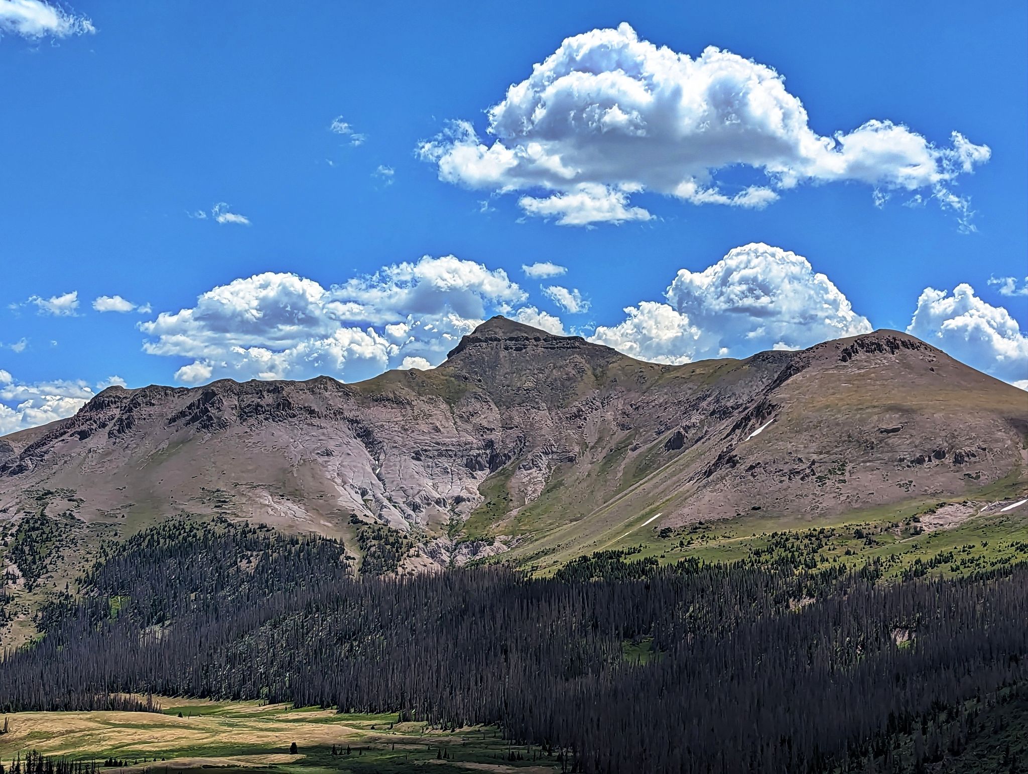 Ute ridge 31
