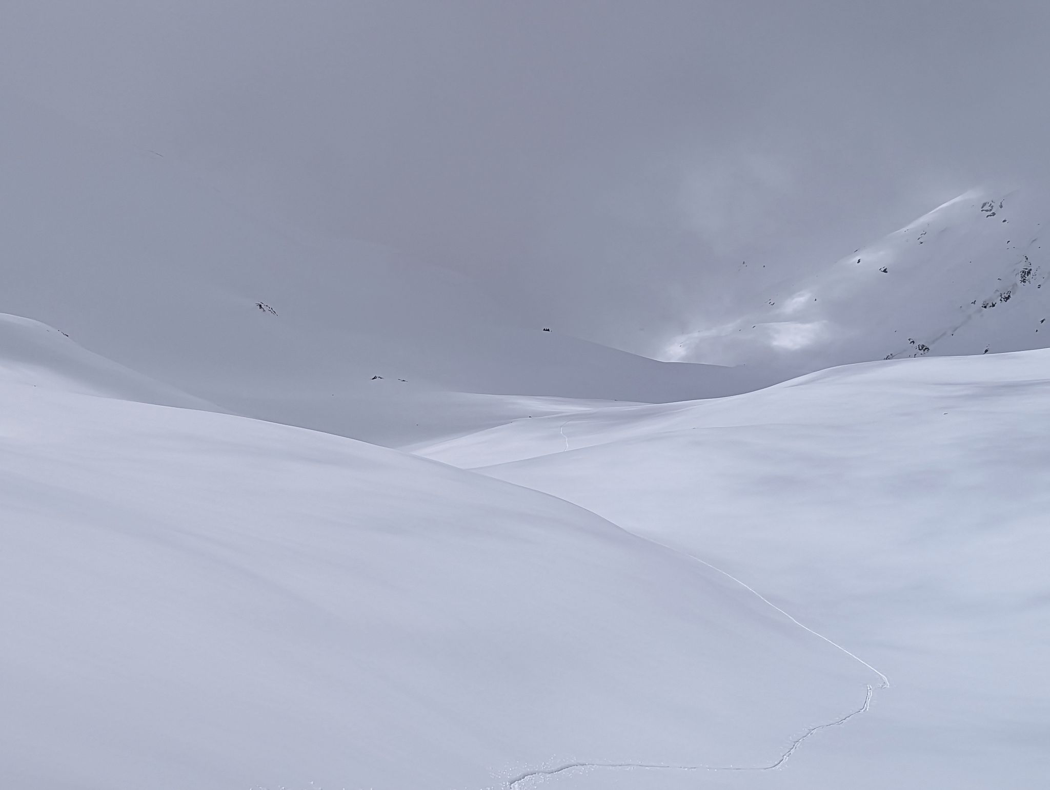 Bonita peak 06