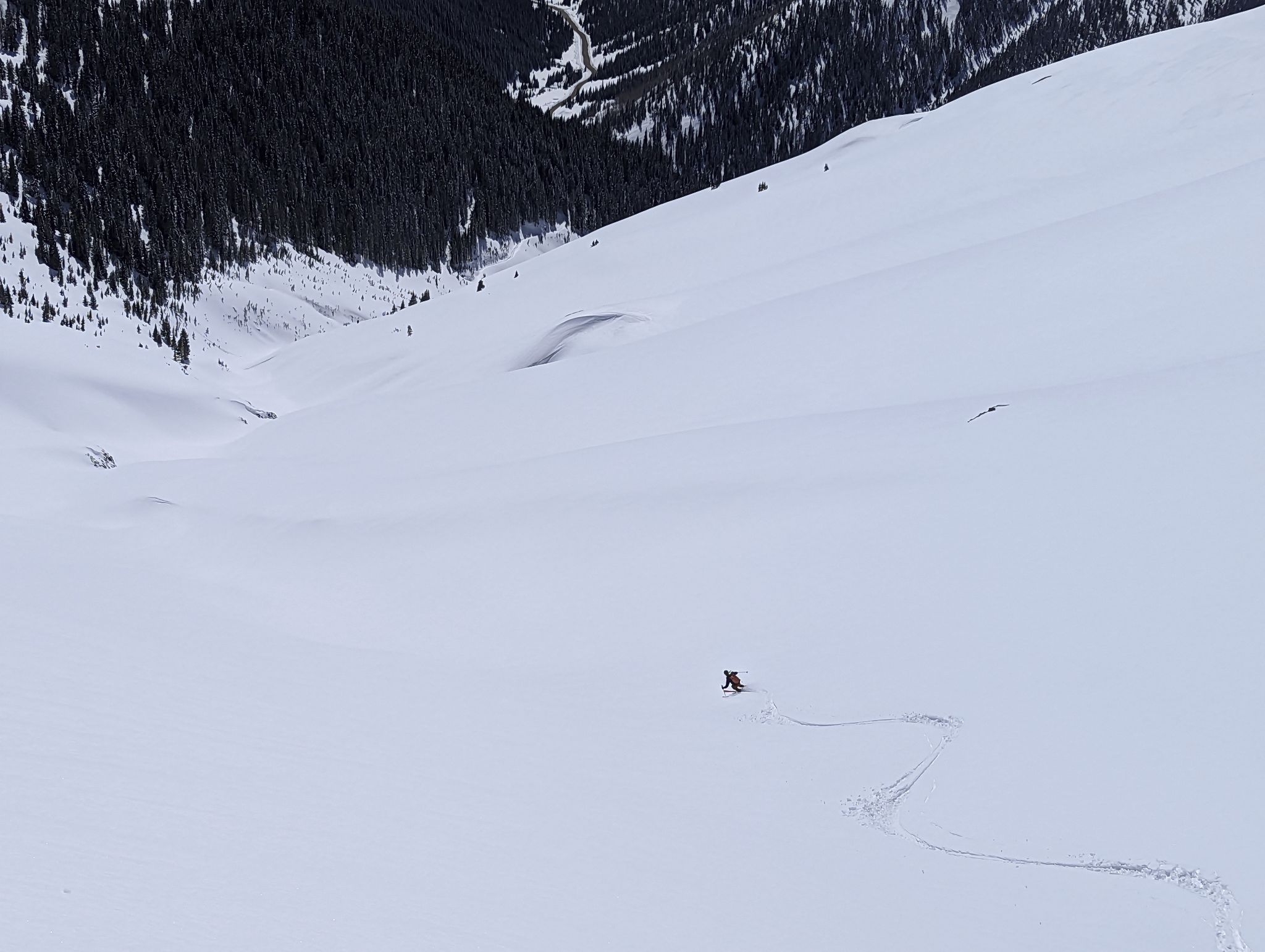 Bonita peak 14