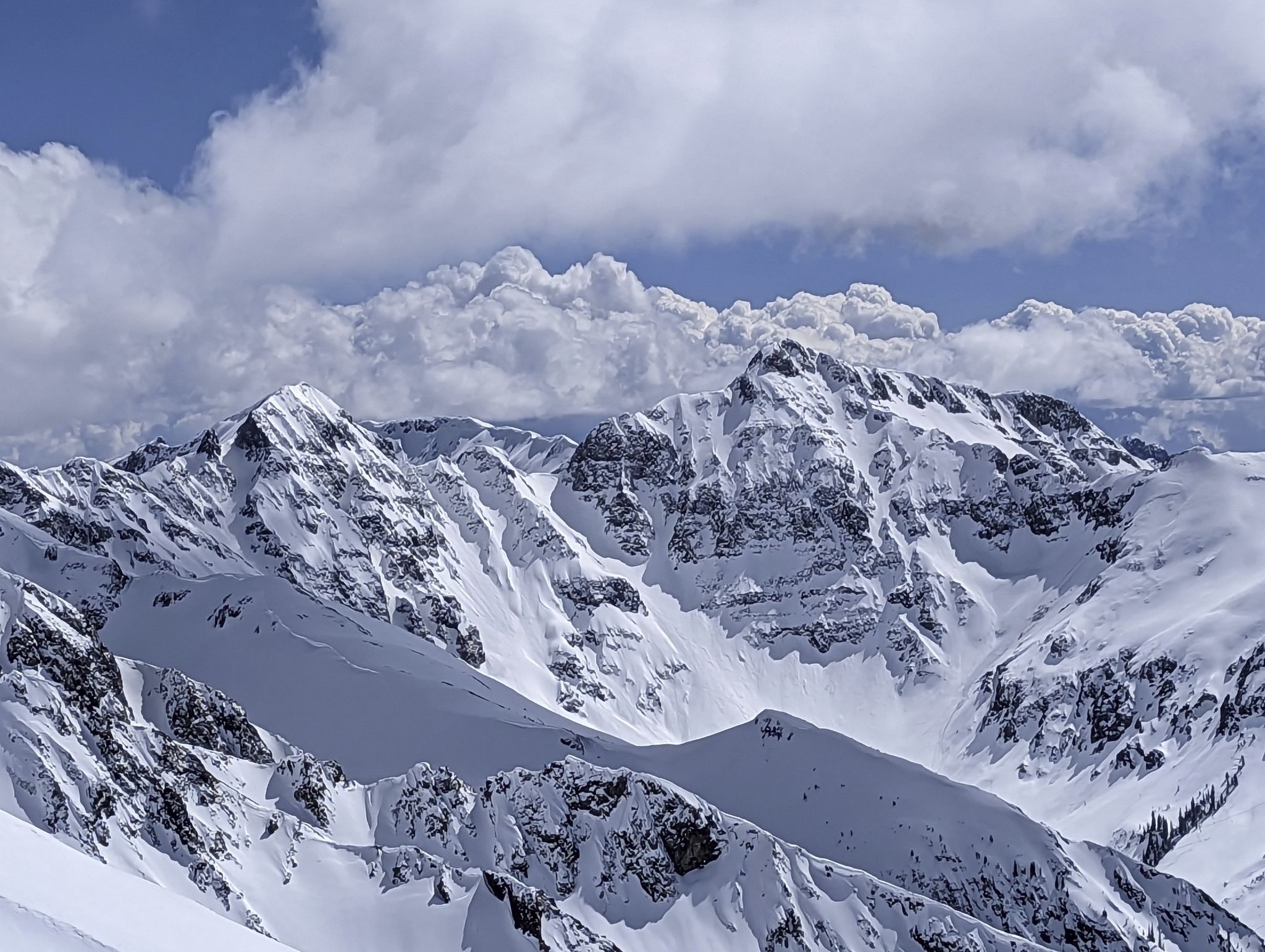 Bonita peak 16