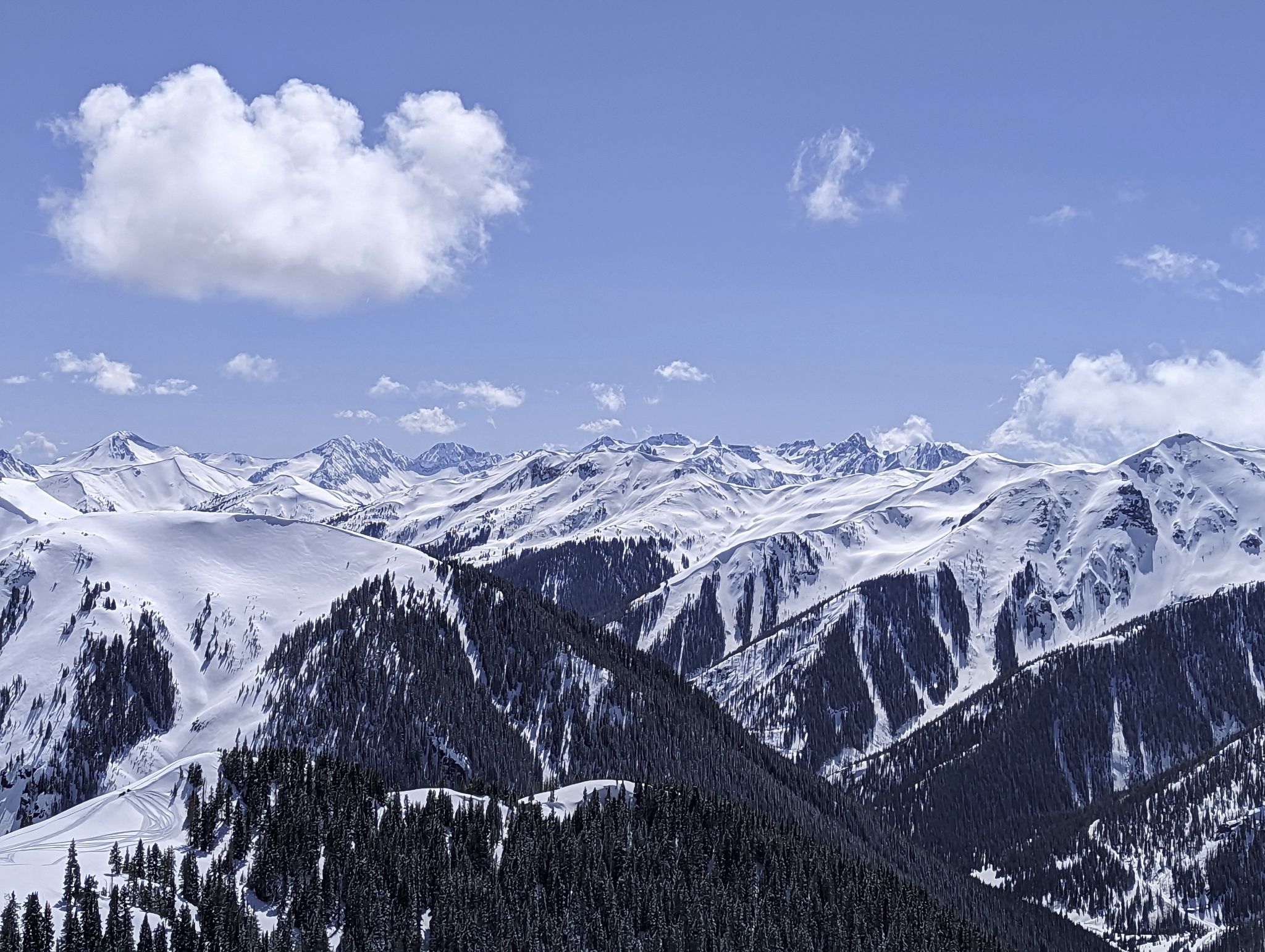 Bonita peak 17